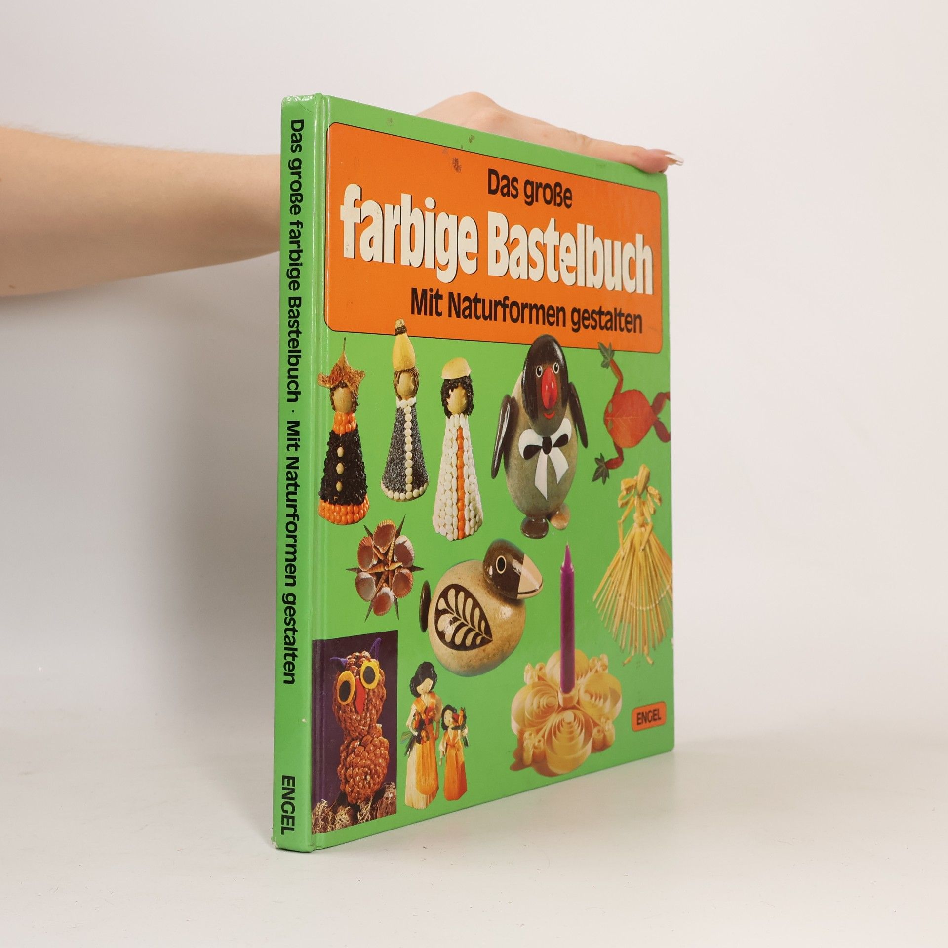 Autorenkollektiv Das große farbige Bastelbuch Mit Naturformen gestalten