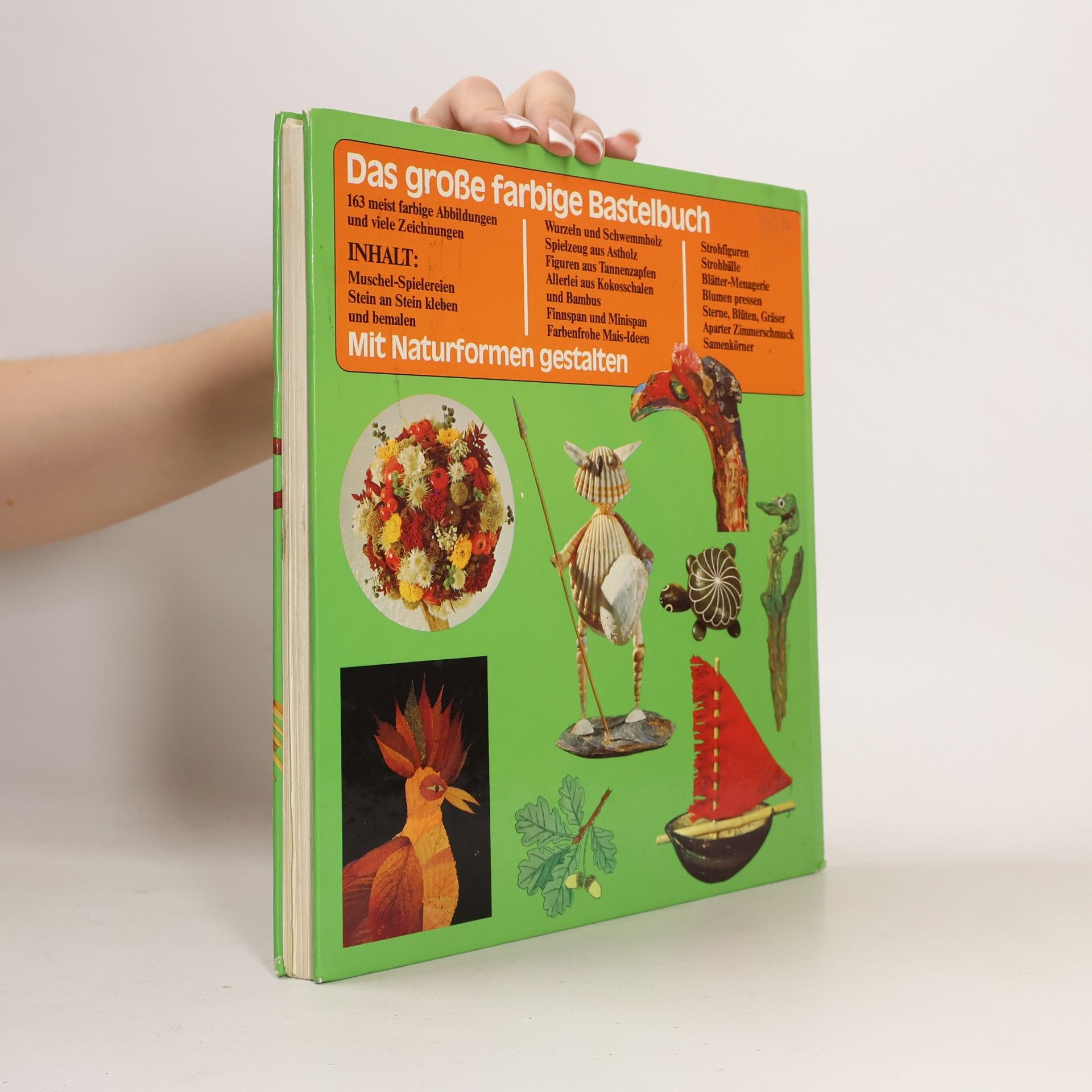 Autorenkollektiv Das große farbige Bastelbuch Mit Naturformen gestalten