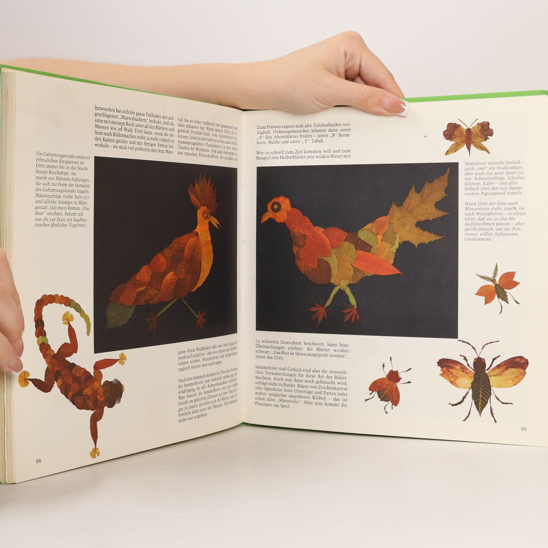 Autorenkollektiv Das große farbige Bastelbuch Mit Naturformen gestalten