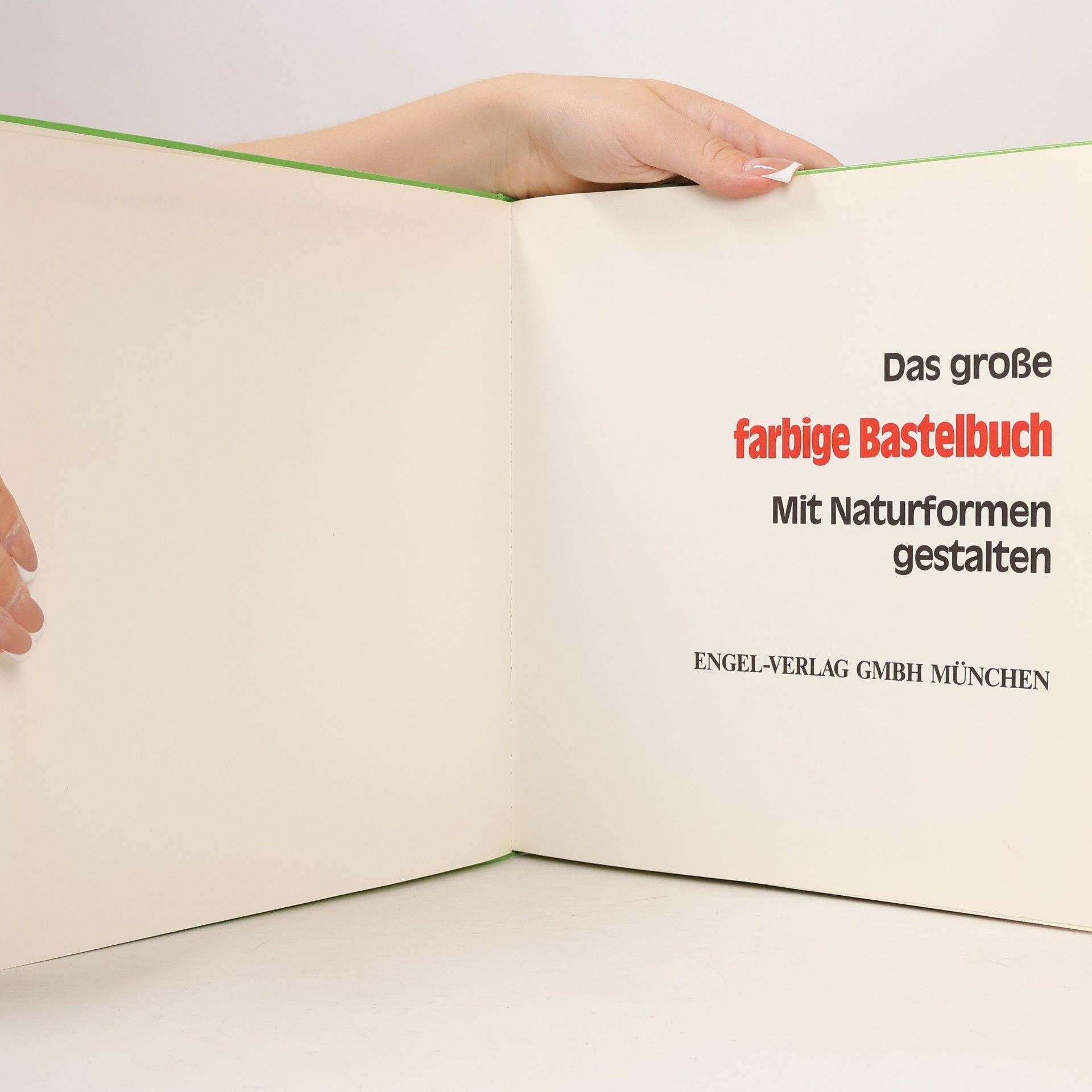 Autorenkollektiv Das große farbige Bastelbuch Mit Naturformen gestalten