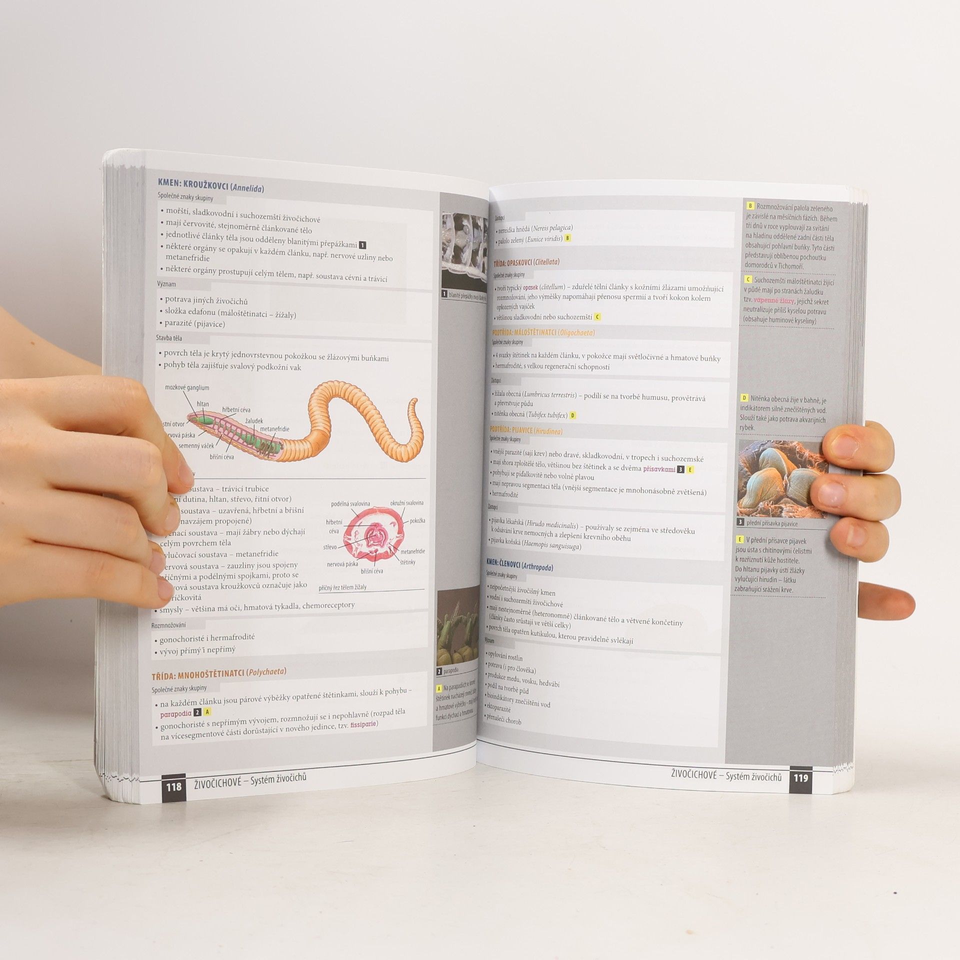 Autorenkollektiv Odmaturuj! z biologie