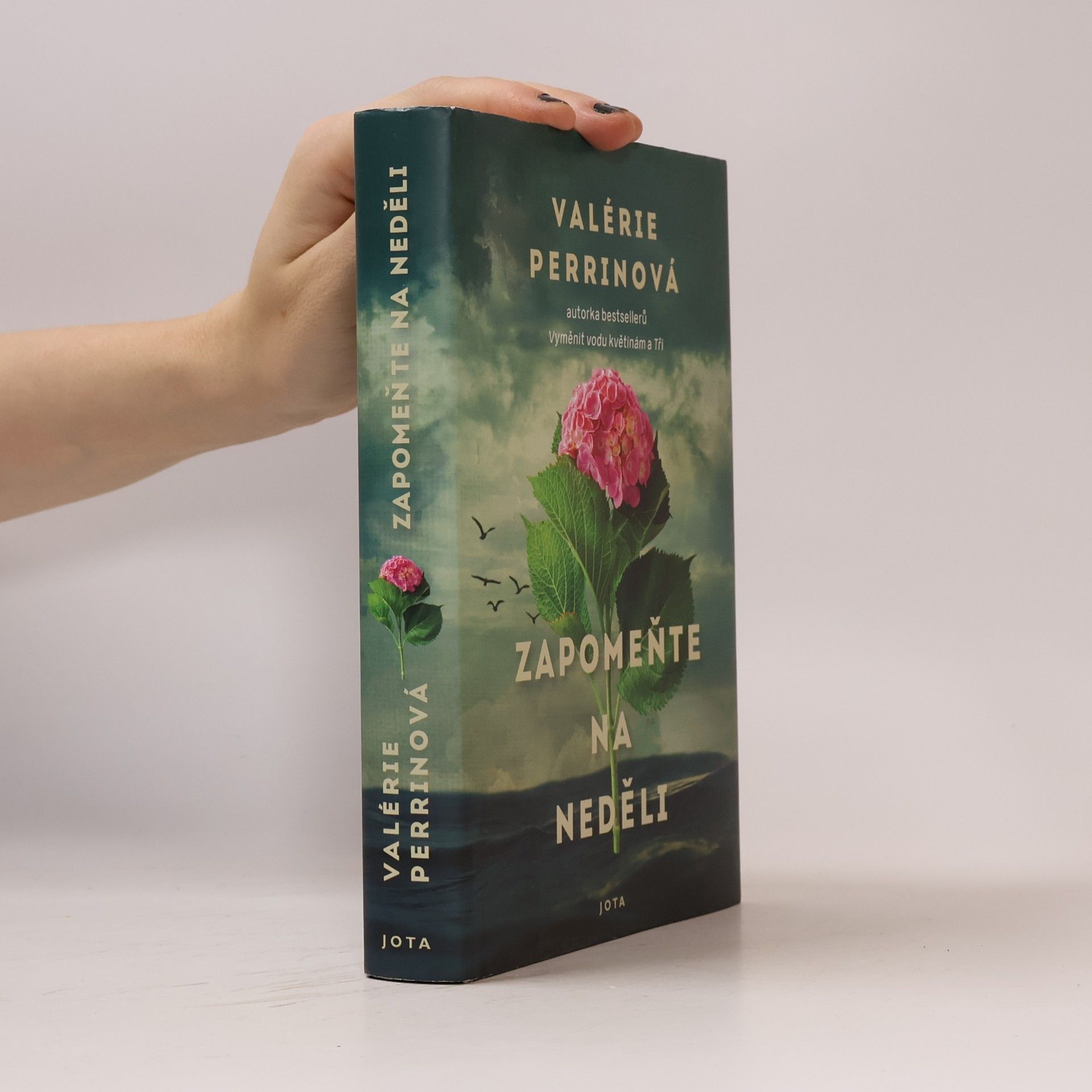 Valérie Perrin Zapomeňte na neděli