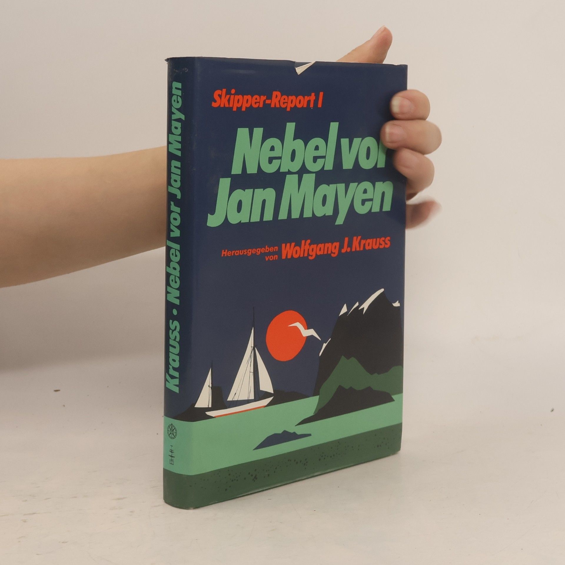 Wolfgang Joseph Krauss Nebel vor Jan Mayen