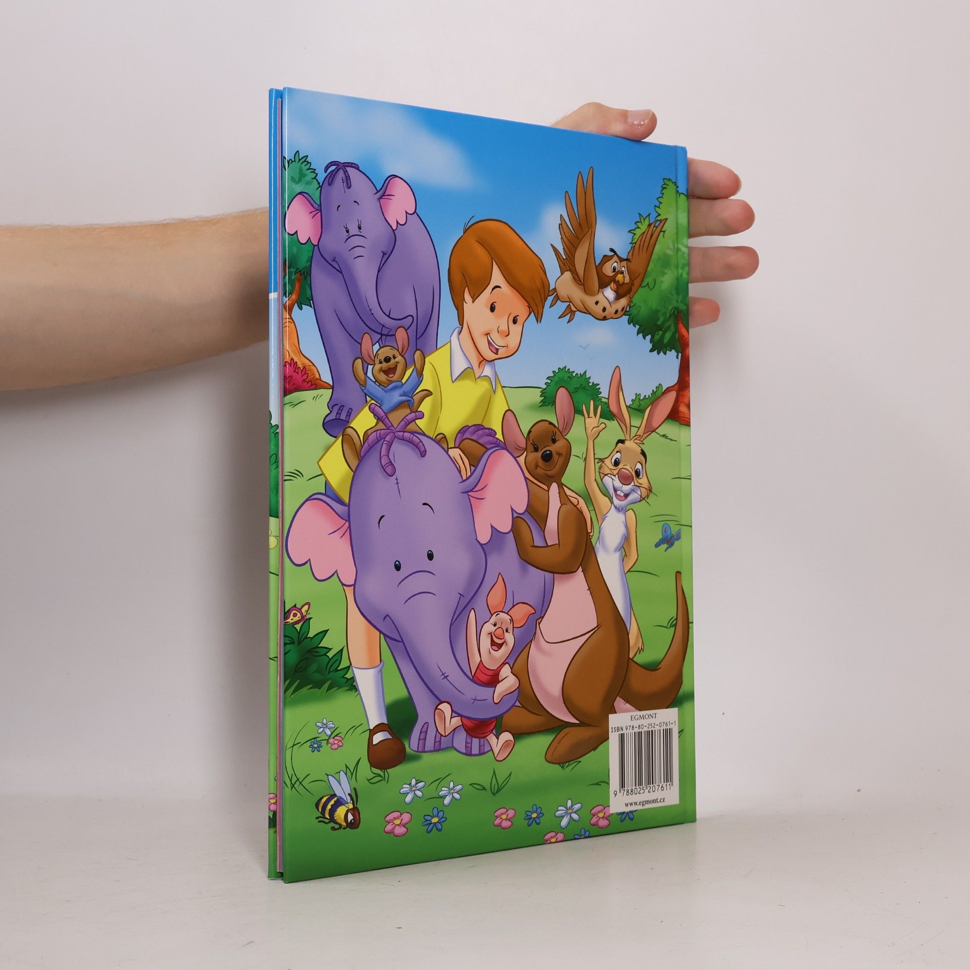 Autorenkollektiv Medvídek Pú a jeho kamarádi : knížka na rok 2008