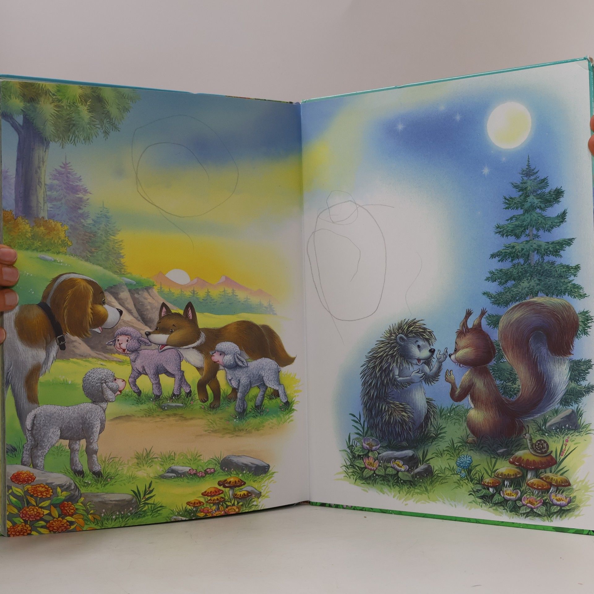 Various authors Rok na statku