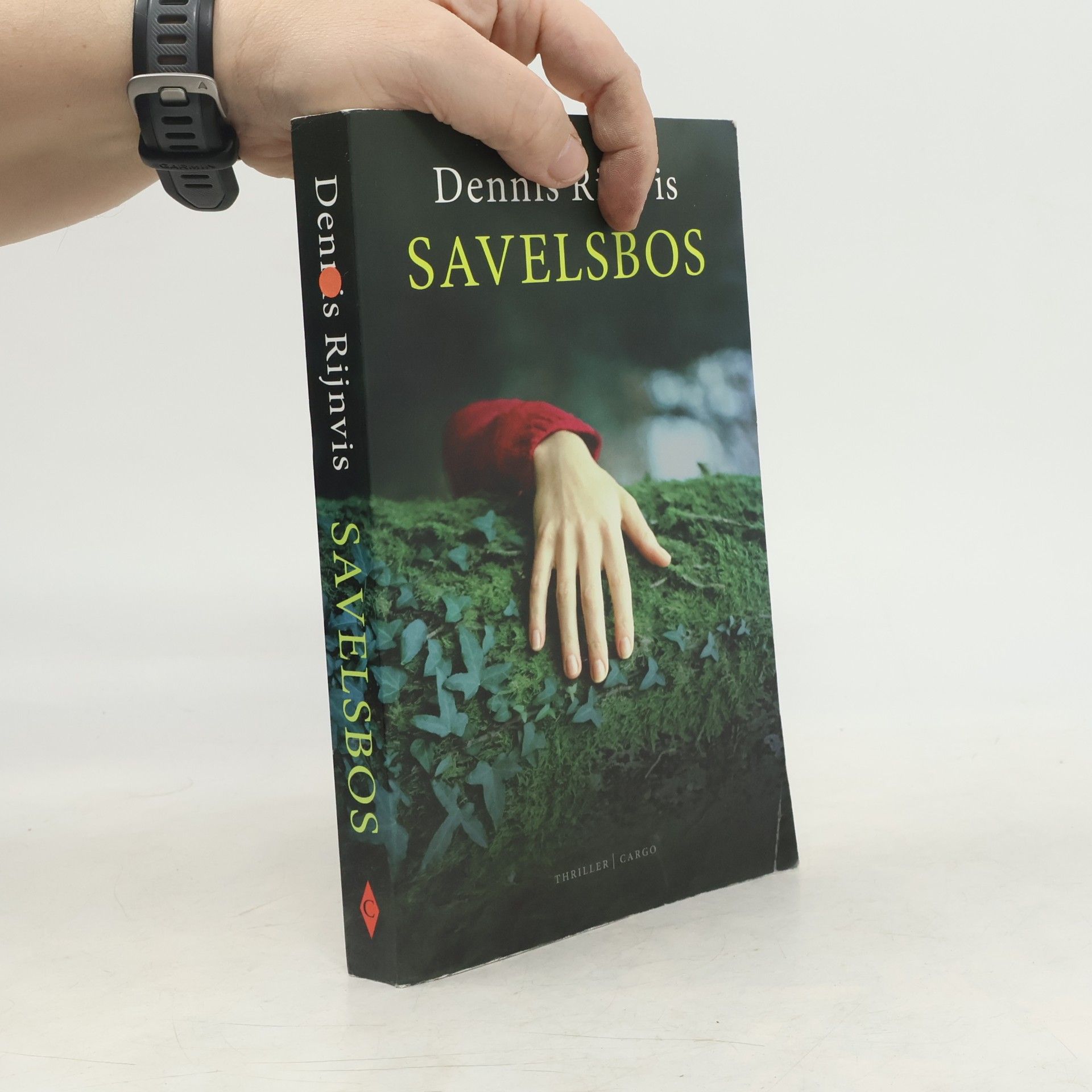 Dennis Rijnvis Savelsbos