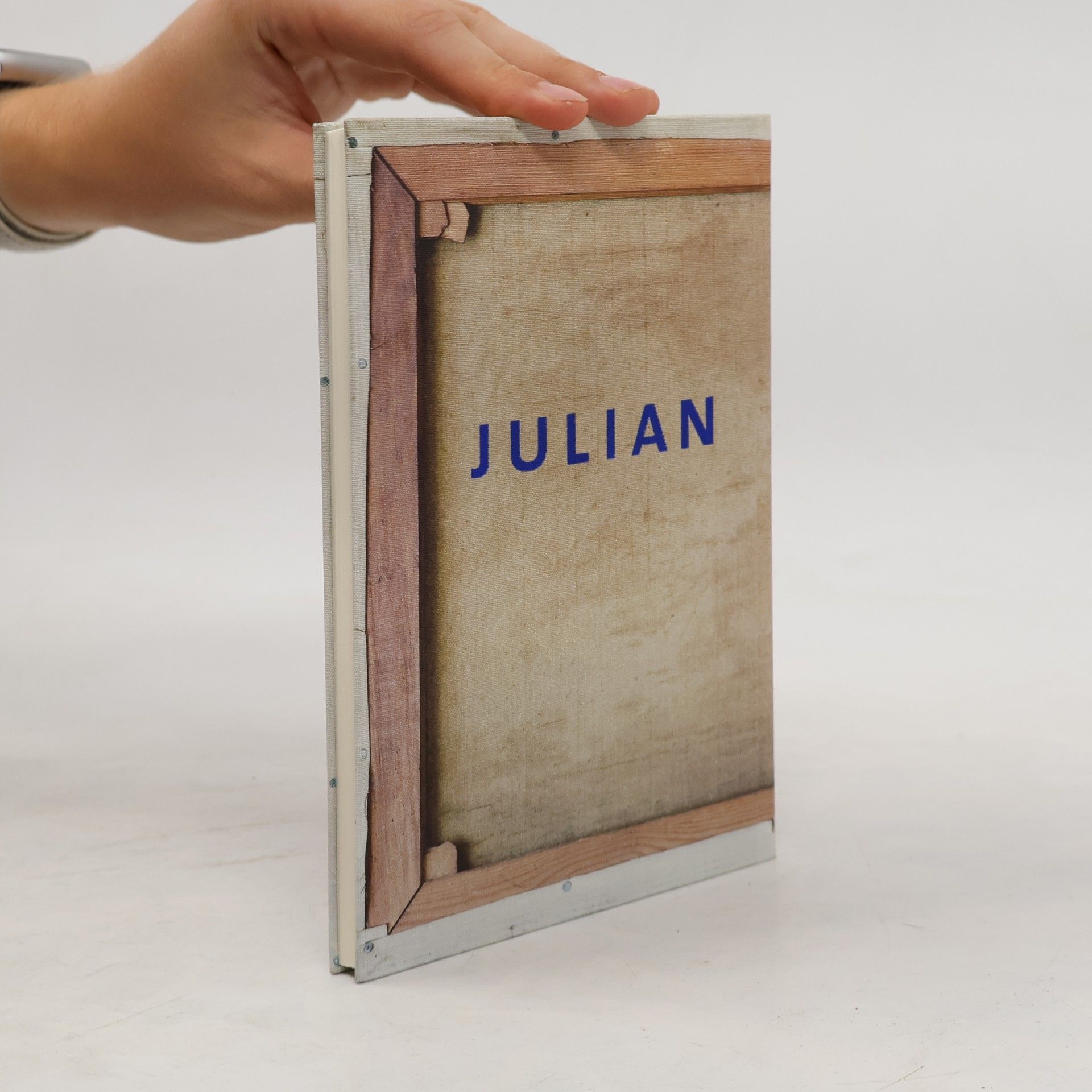 Julian Barnes Kunst sehen
