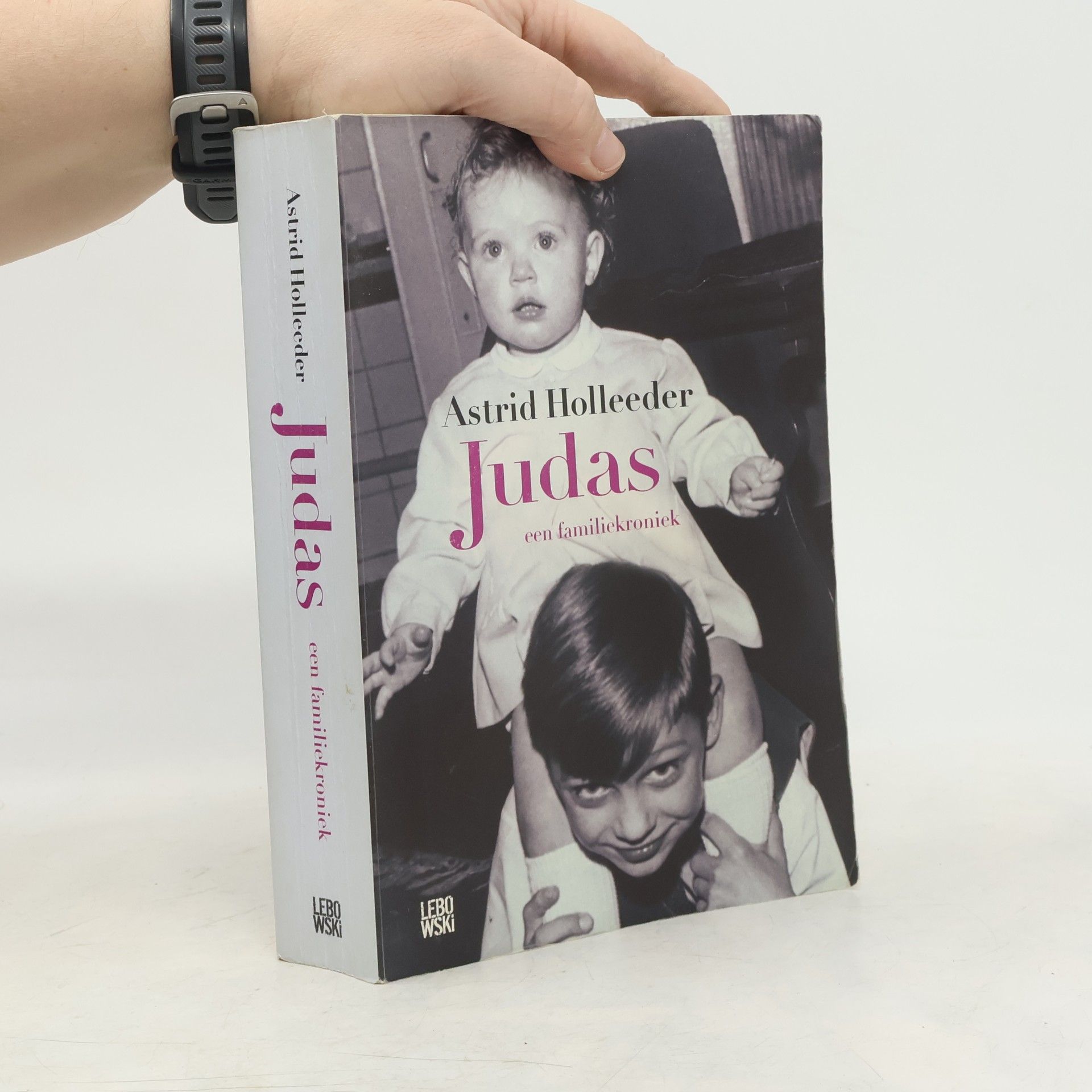 Astrid Holleeder Judas