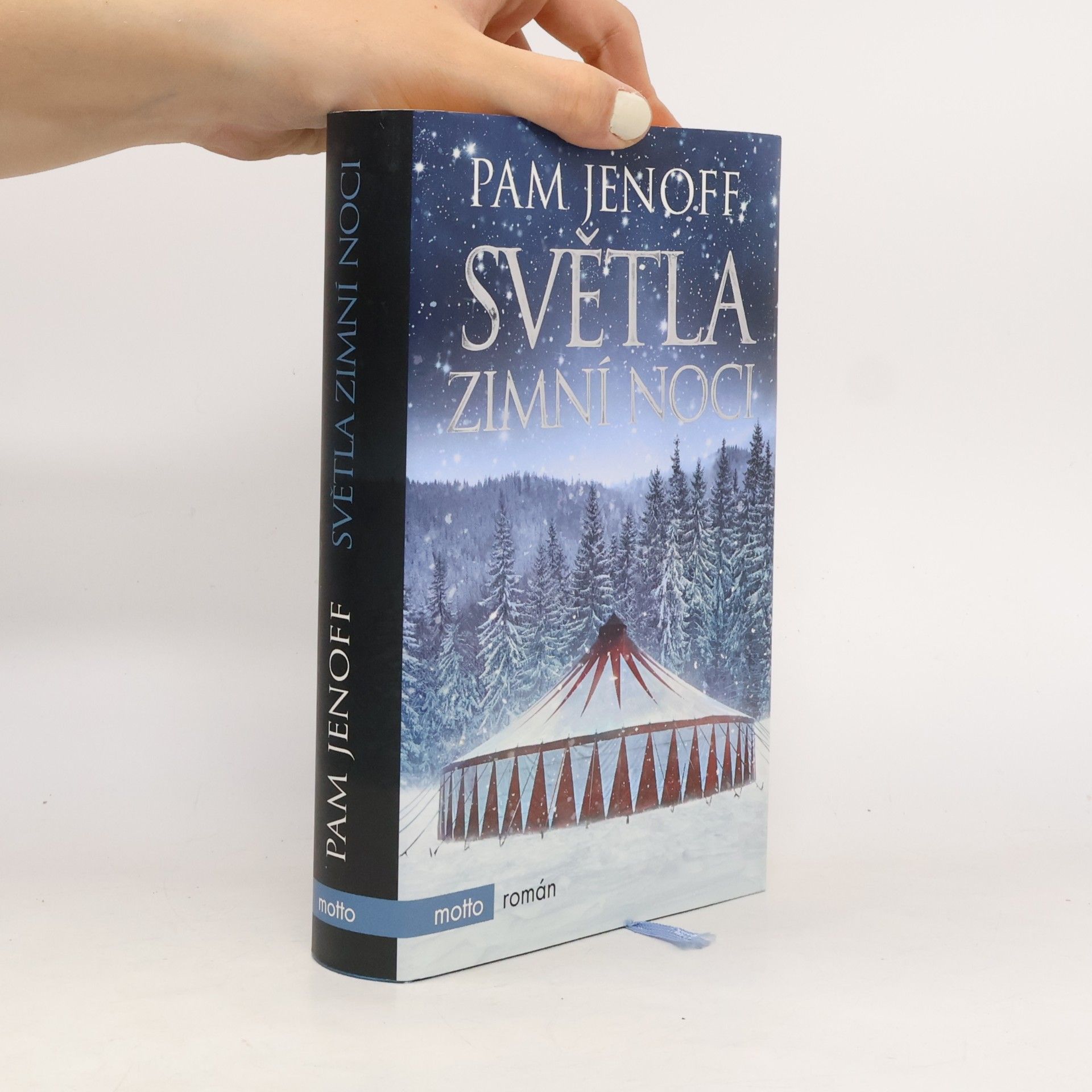 Pam Jenoff Světla zimní noci