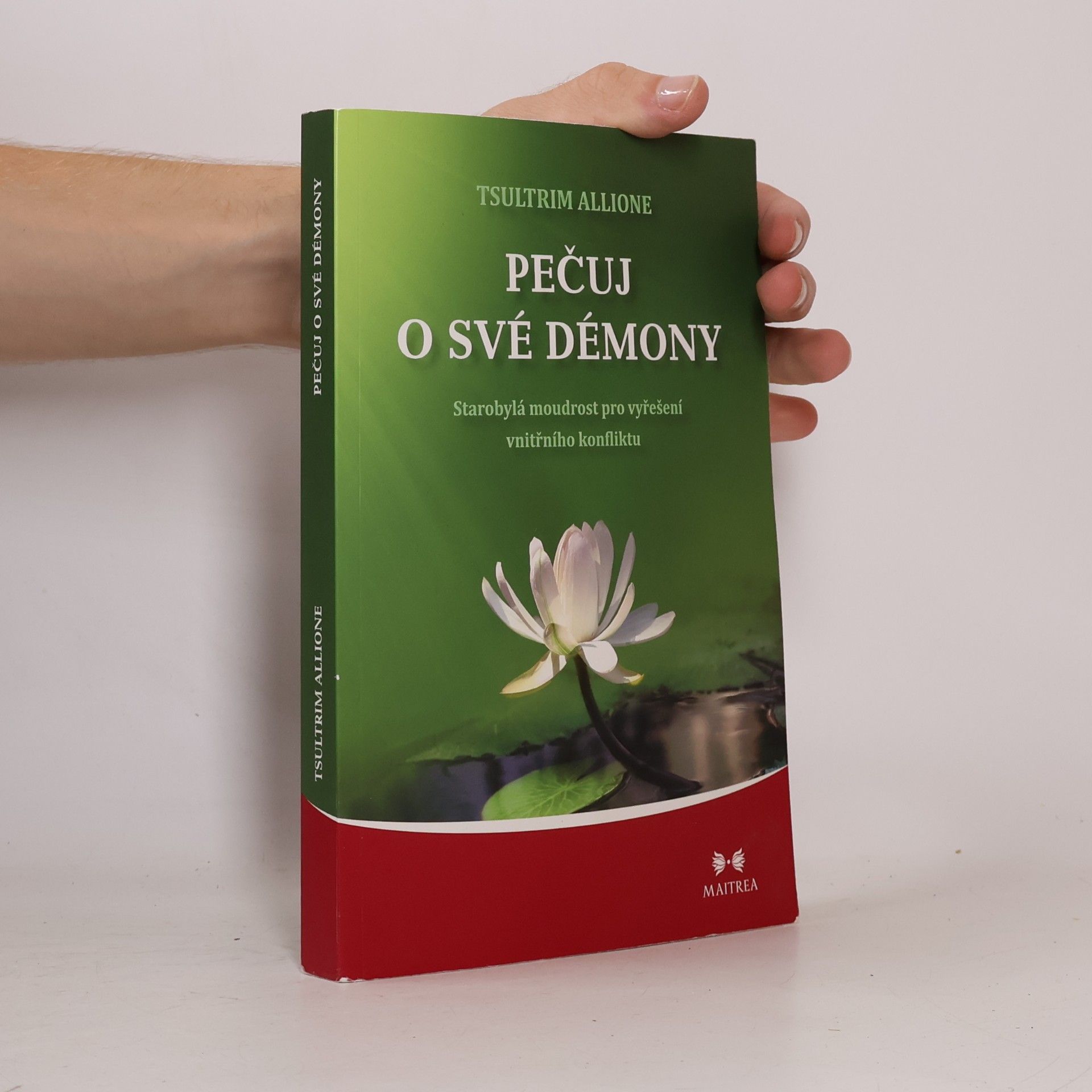 Tsultrim Allione Pečuj o své démony. Starobylá moudrost pro vyřešení vnitřního konfliktu
