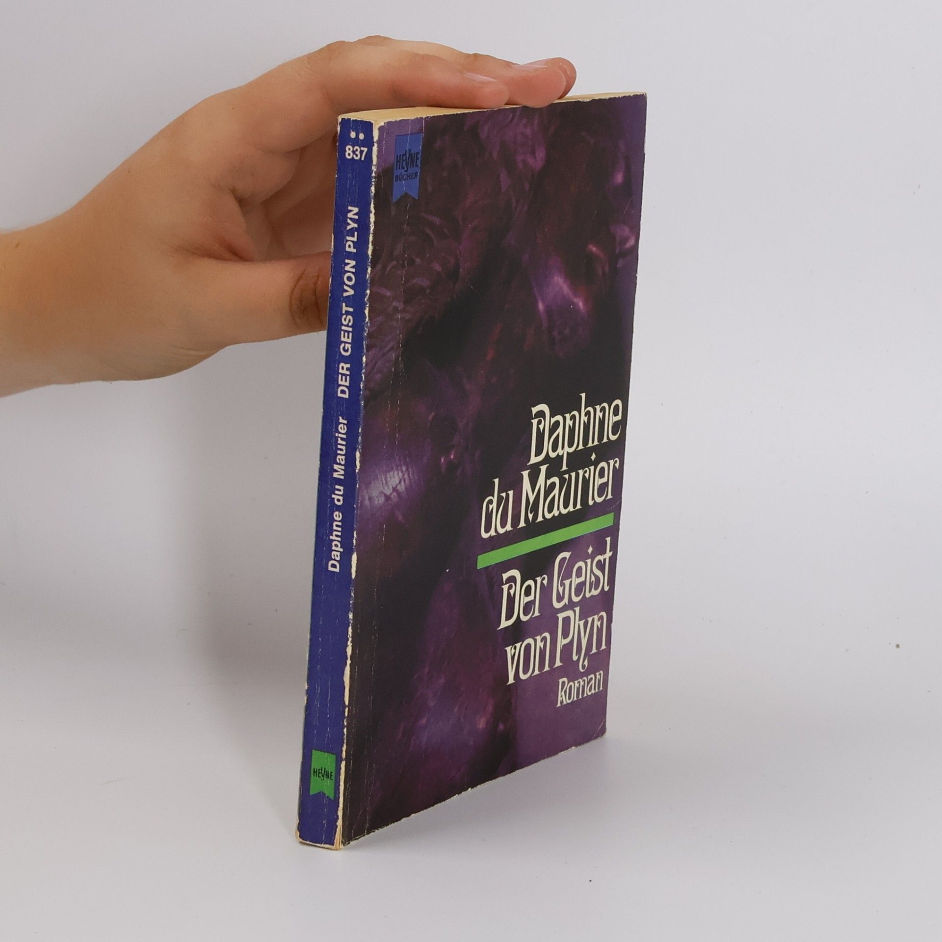 Der Geist von Plyn