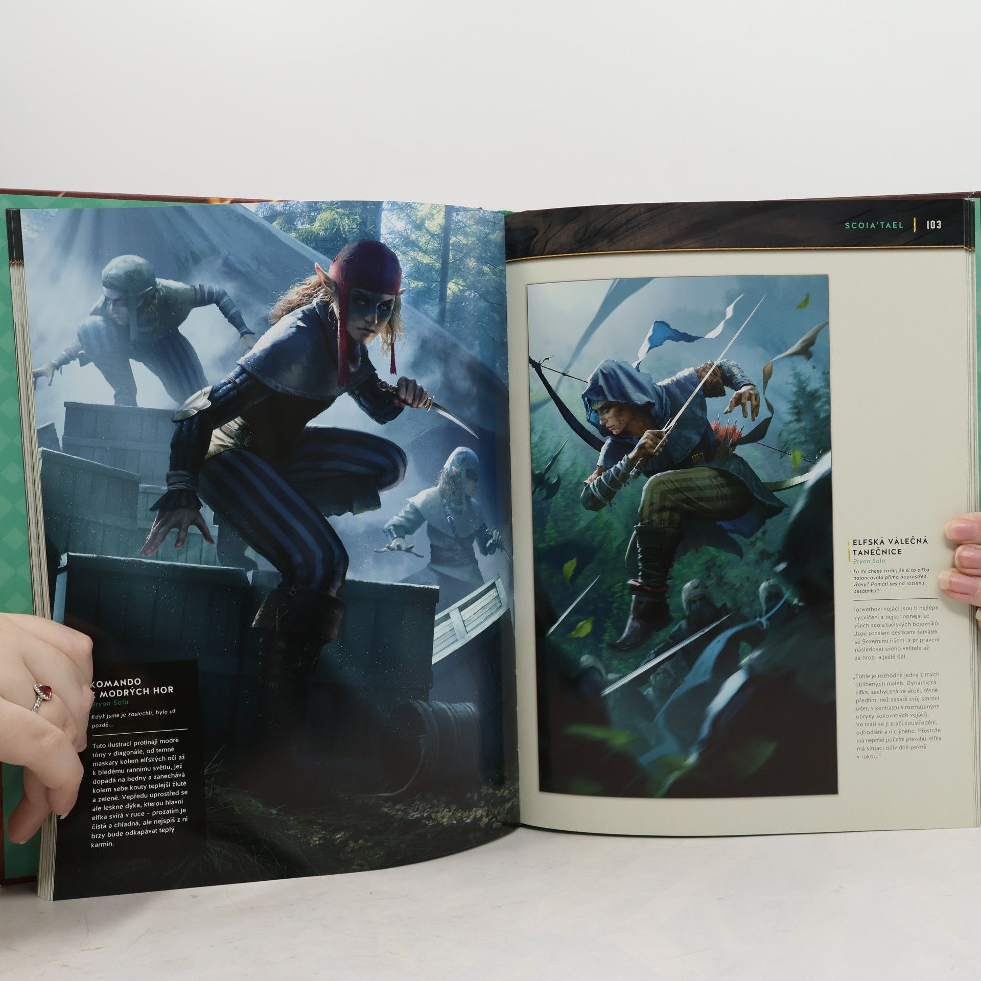 Filip Ženíšek Gwent: Výtvarné umění zaklínačské karetní hry