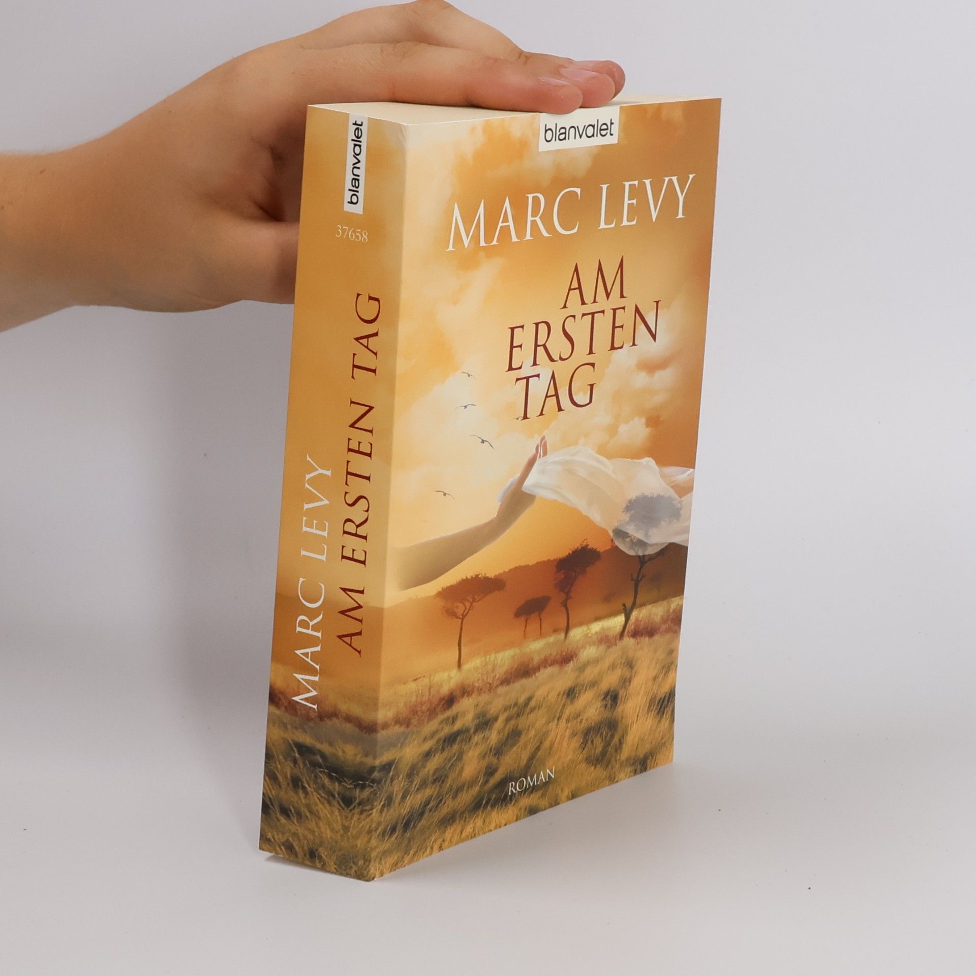 Marc Lévy Am ersten Tag
