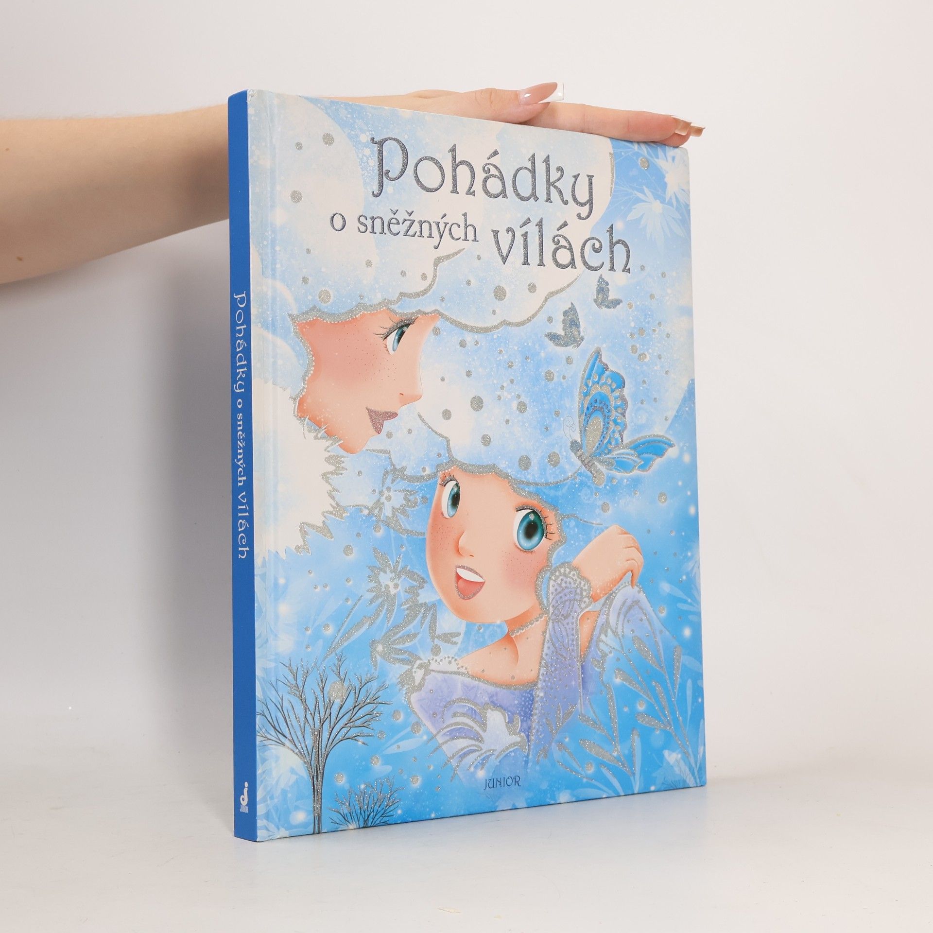 Kolektiv autorů Pohádky o sněžných vílách