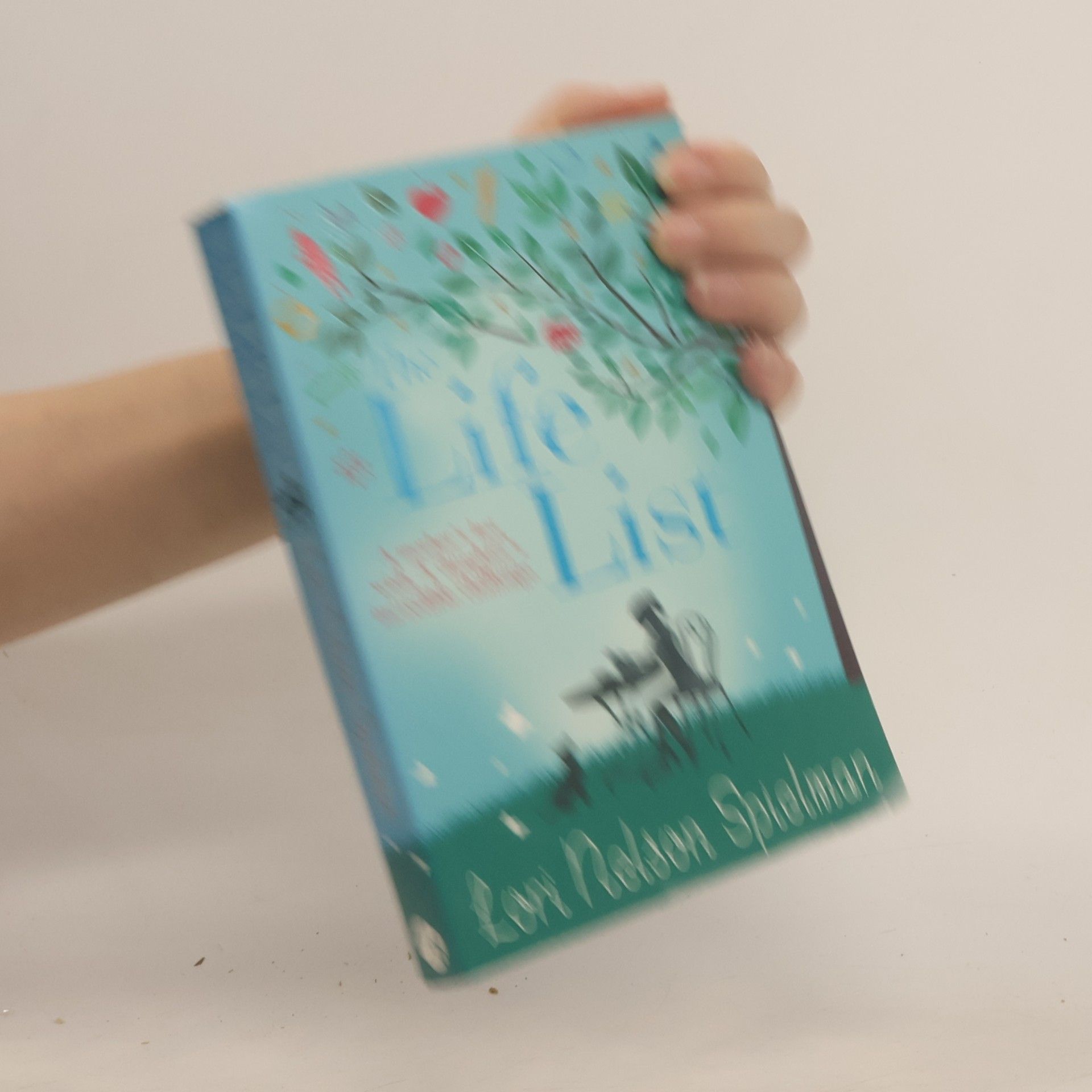 Lori Nelson Spielman The Life List