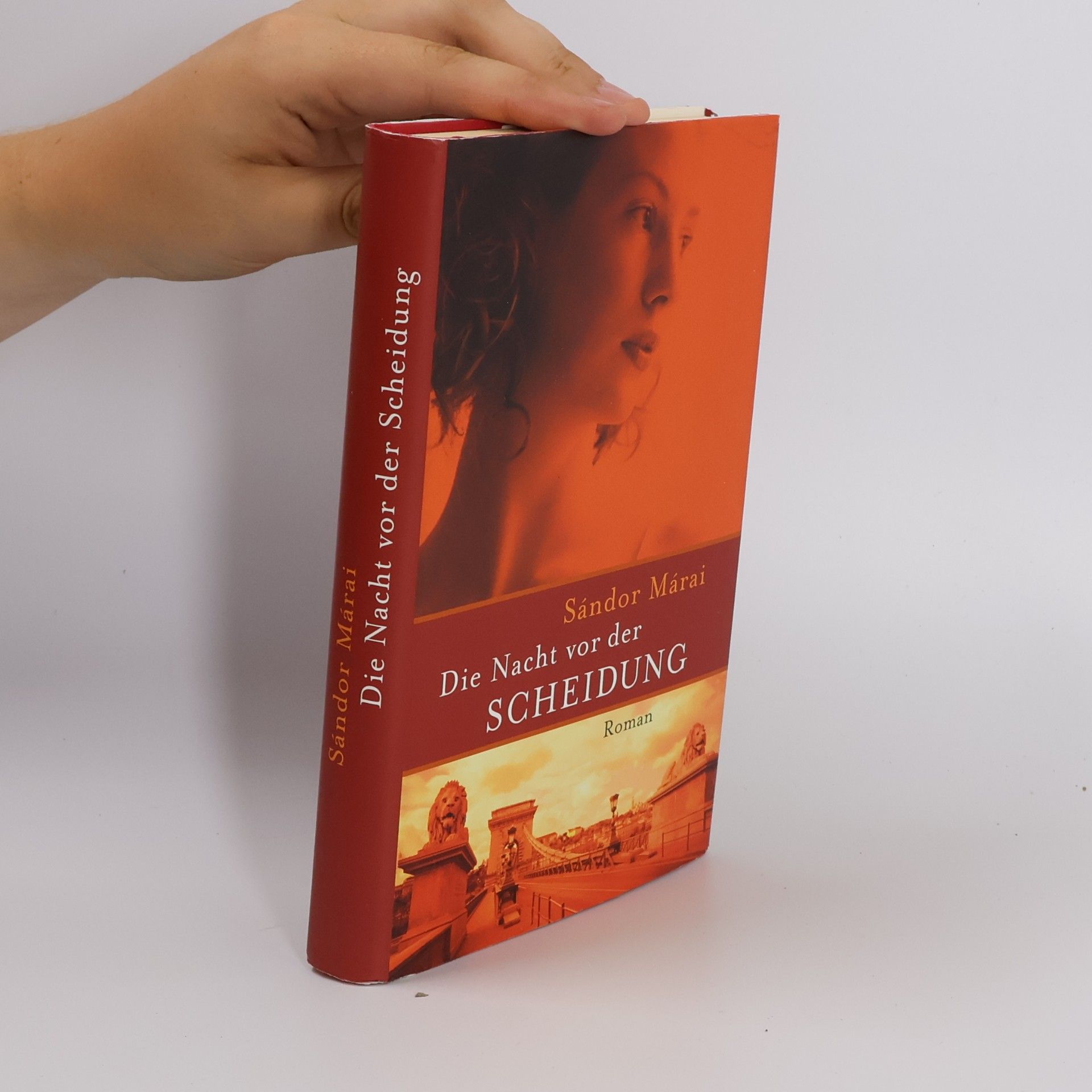 Sándor Márai Die Nacht vor der Scheidung