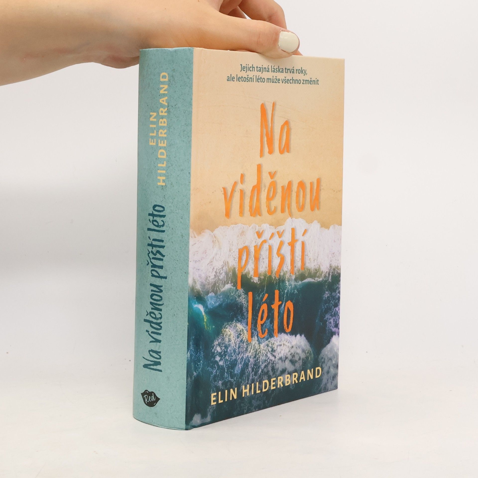 Elin Hilderbrand Na viděnou příští léto