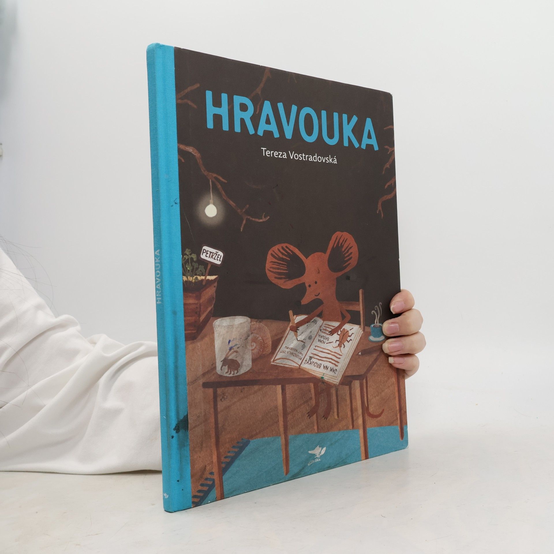 Tereza Vostradovská Hravouka