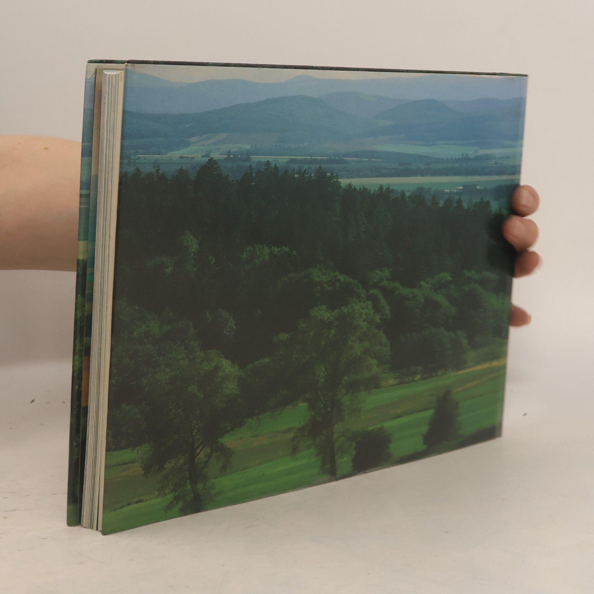 Wolfgang Krammisch Thüringer Wald