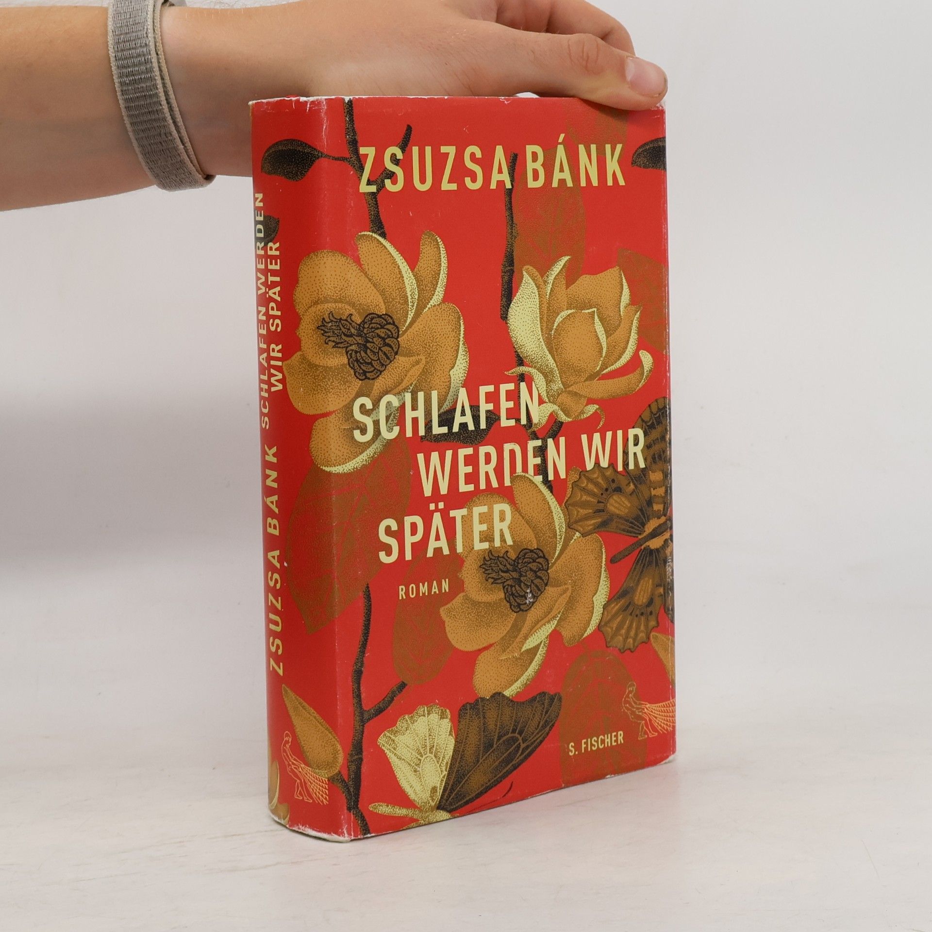 Zsuzsa Bánk Schlafen werden wir später