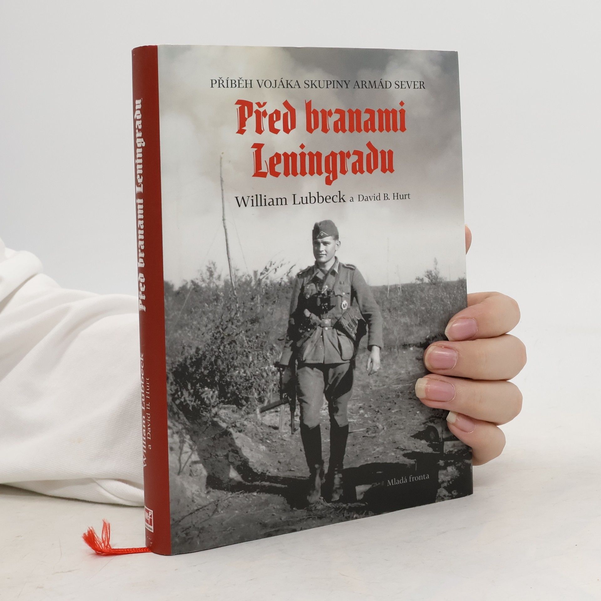 David Hurt Před branami Leningradu