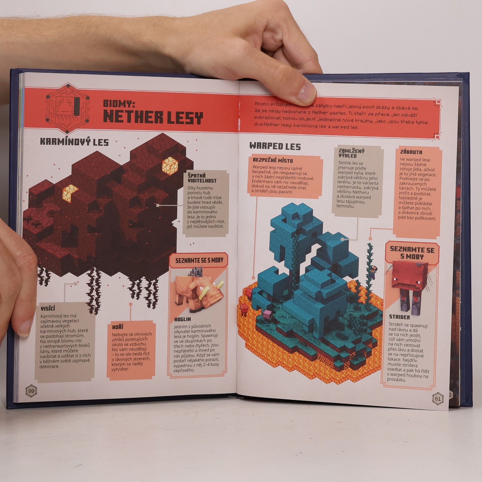 Autorenkollektiv Minecraft. Průzkumnická příručka