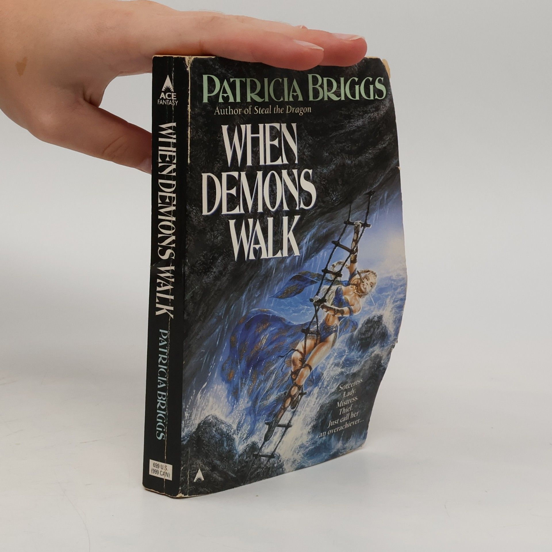 Patricia Briggs When Demons Walk