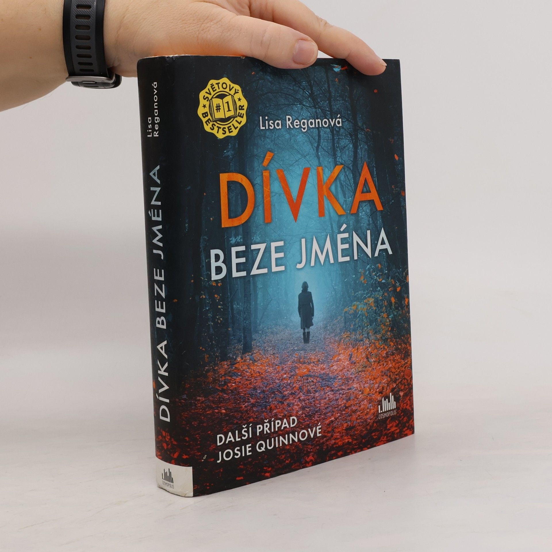 Lisa Regan Dívka beze jména: Další případ Josie Quinnové