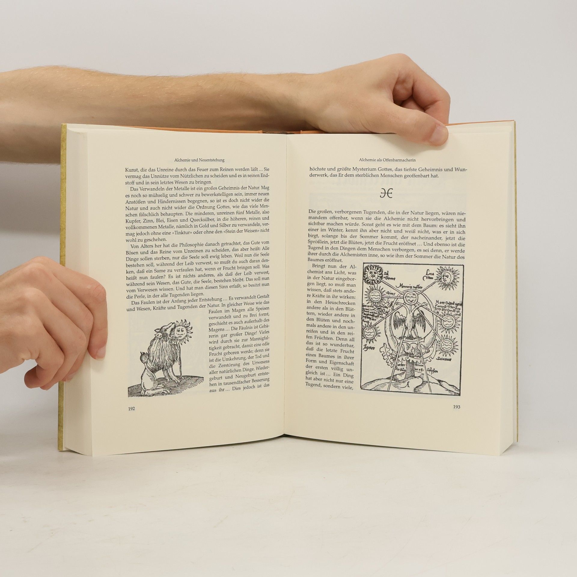 Paracelsus Paracelsus, Arzt und Gottsucher an der Zeitenwende