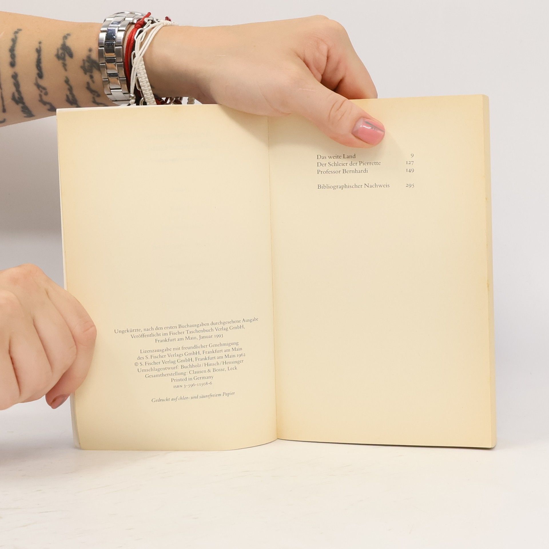Arthur Schnitzler Das weite Land