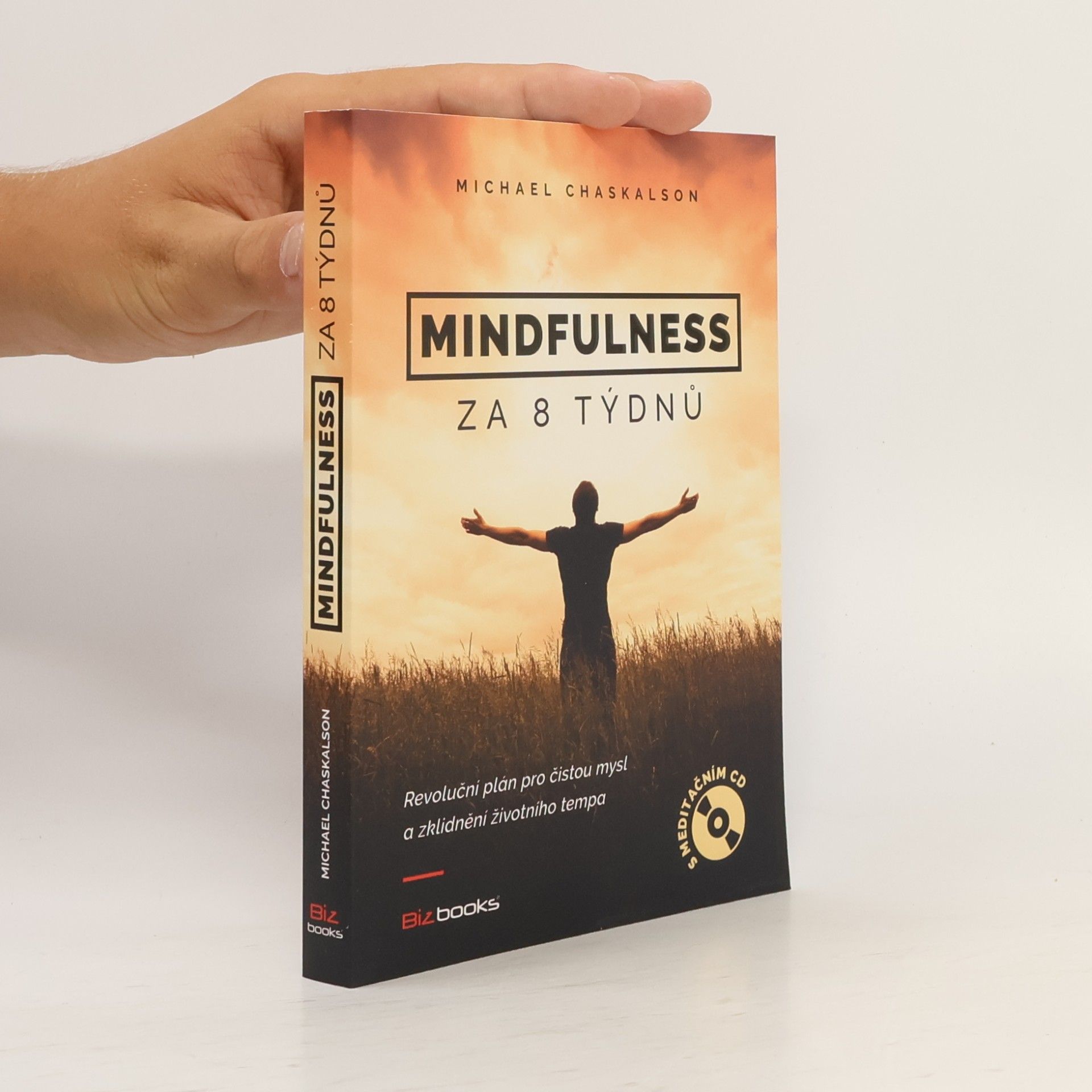 Michael Chaskalson Mindfulness za 8 týdnů. Revoluční plán pro čistou mysl a zklidnění životního tempa