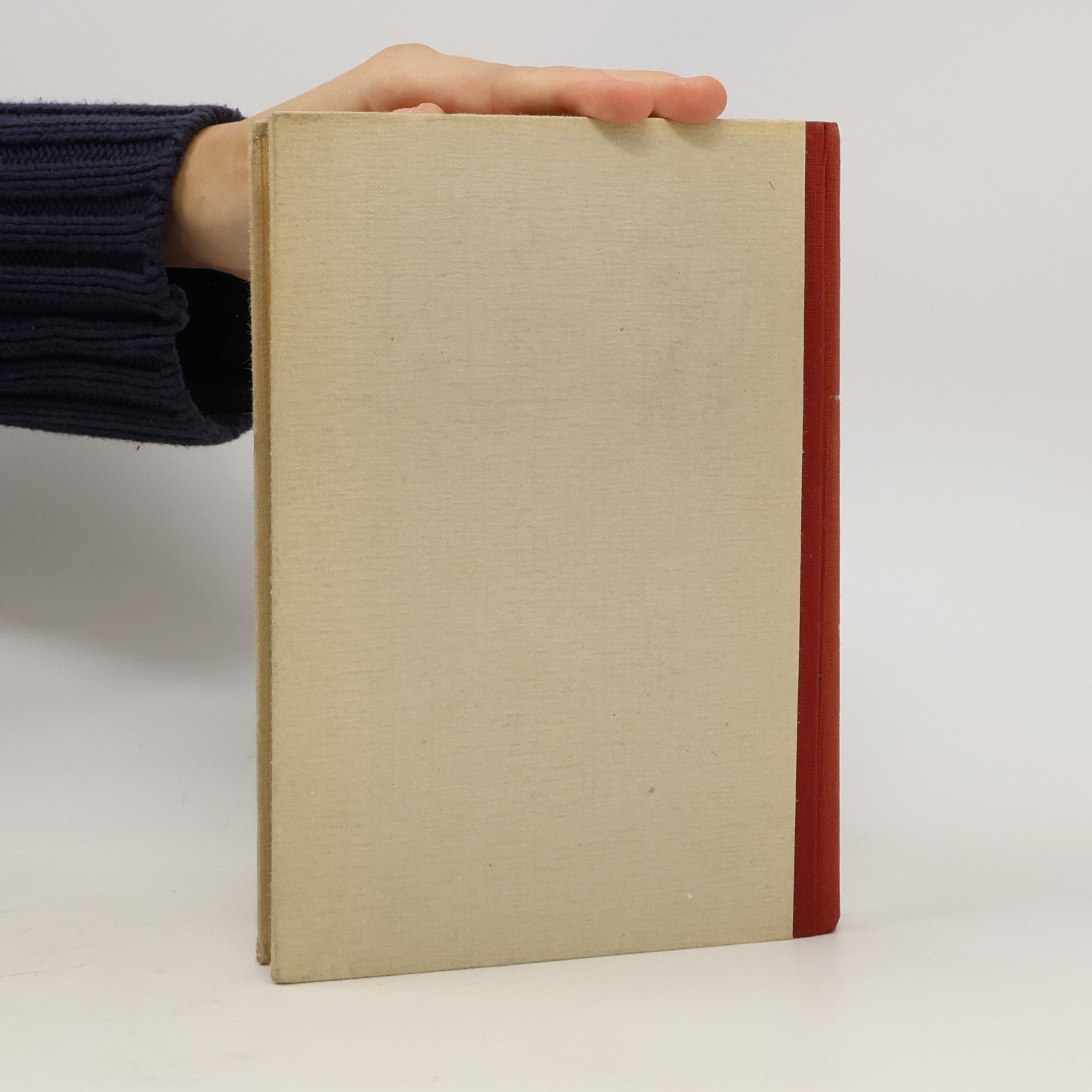 Nico Rost Goethe v Dachau
