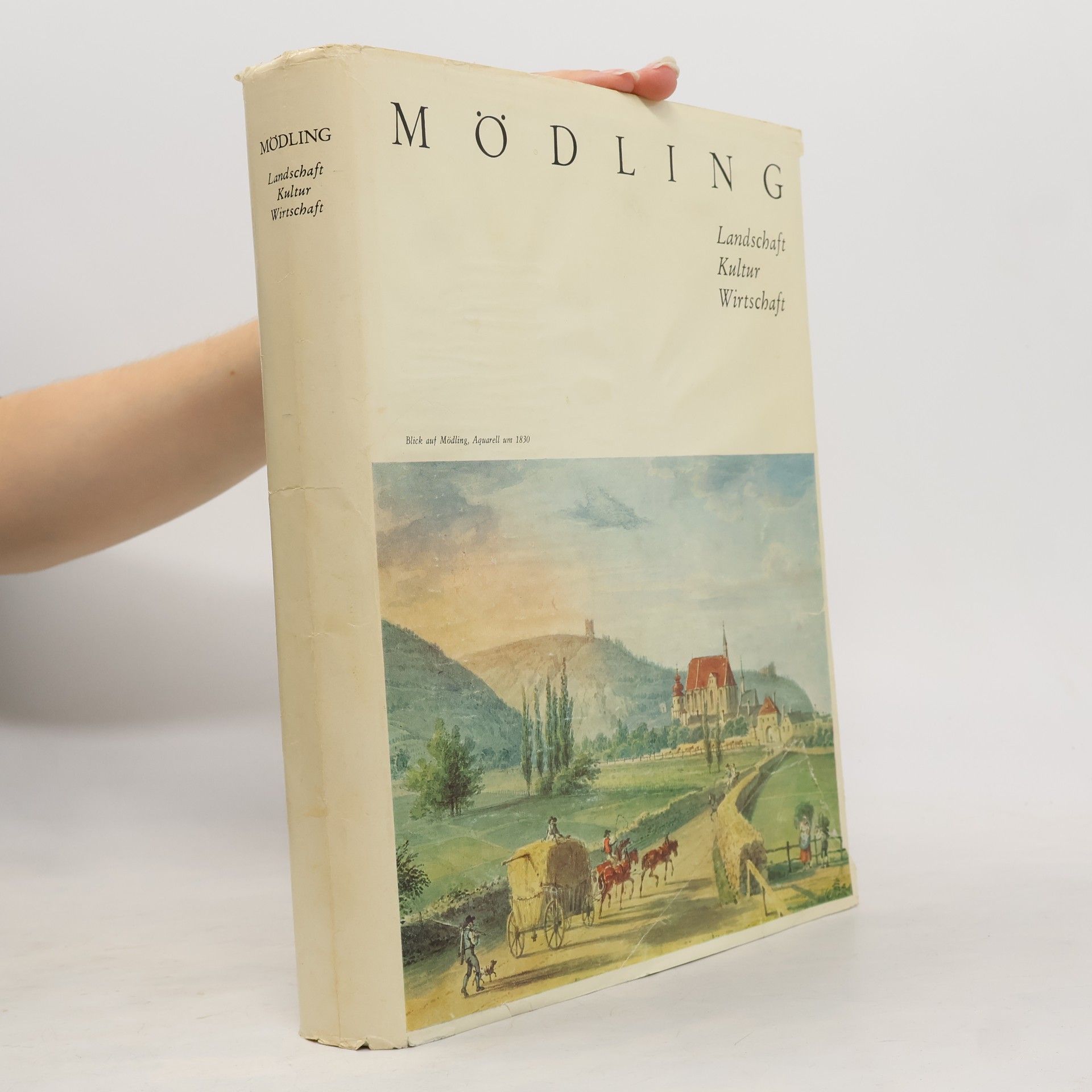 kolektiv Mödling: Landschaft, Kultur, Wirtschaft