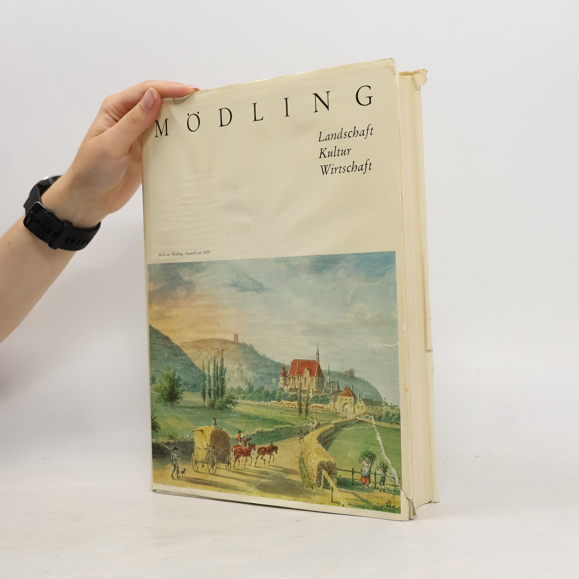 kolektiv Mödling: Landschaft, Kultur, Wirtschaft
