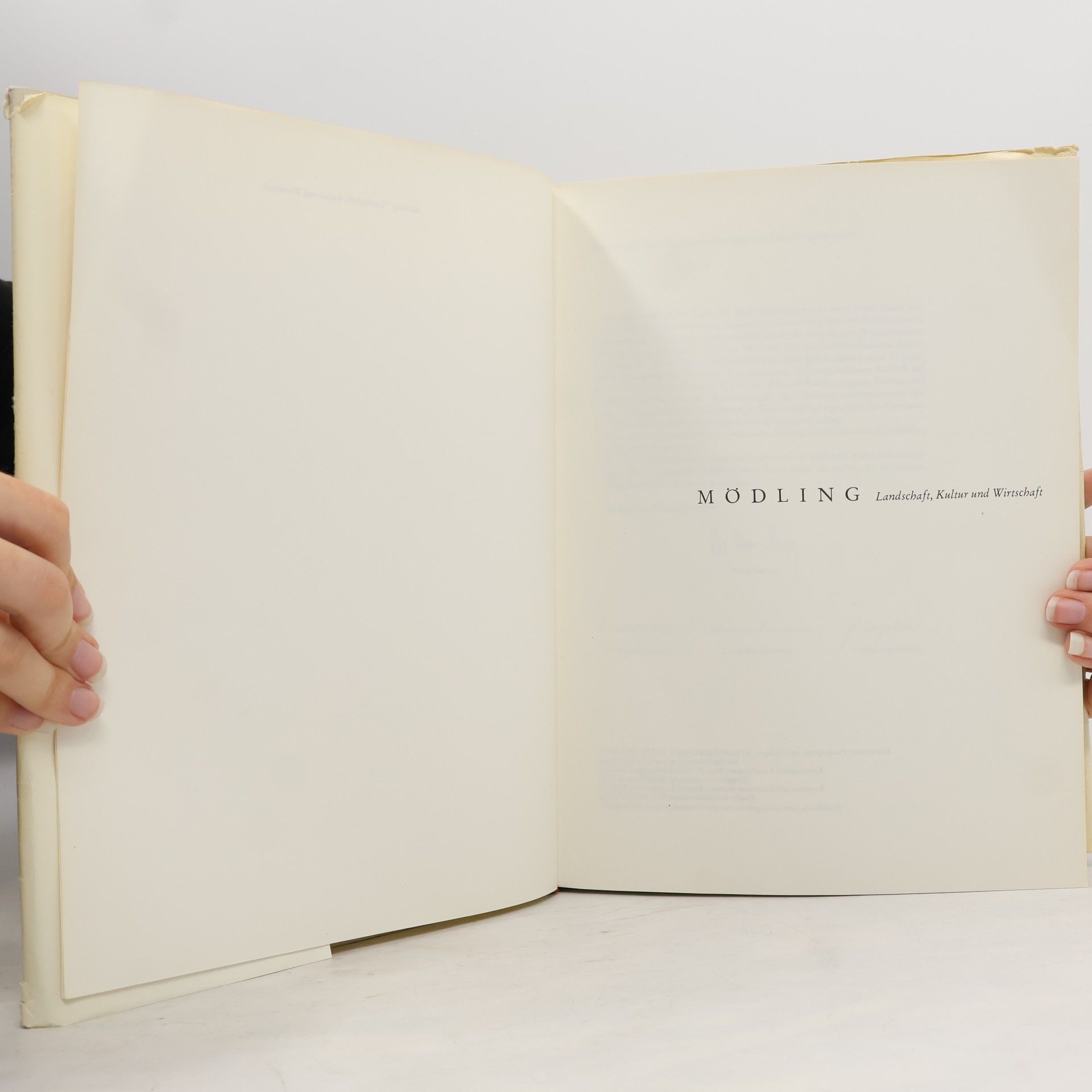 kolektiv Mödling: Landschaft, Kultur, Wirtschaft