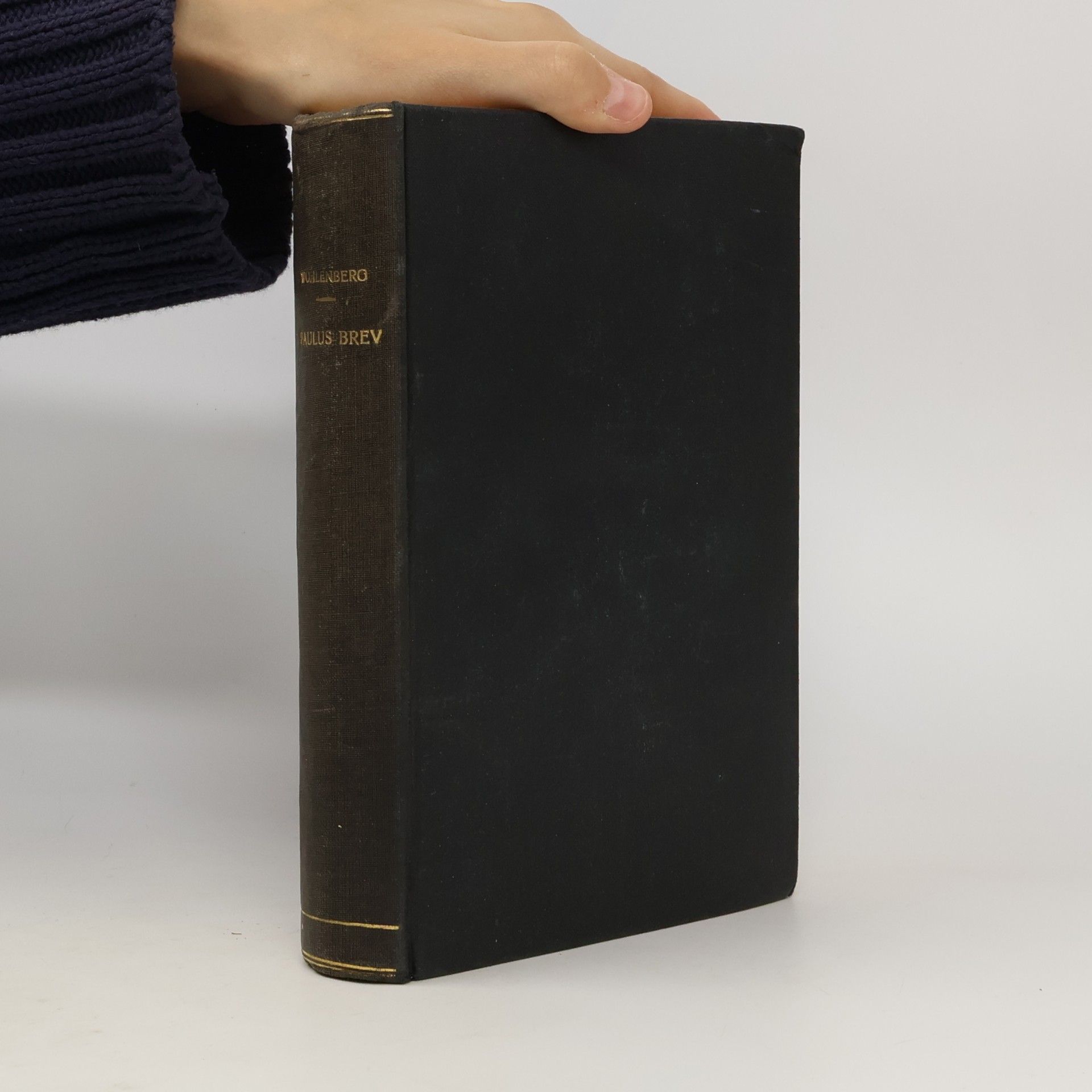 G. Wohlenberg Die Pastoralbriefe