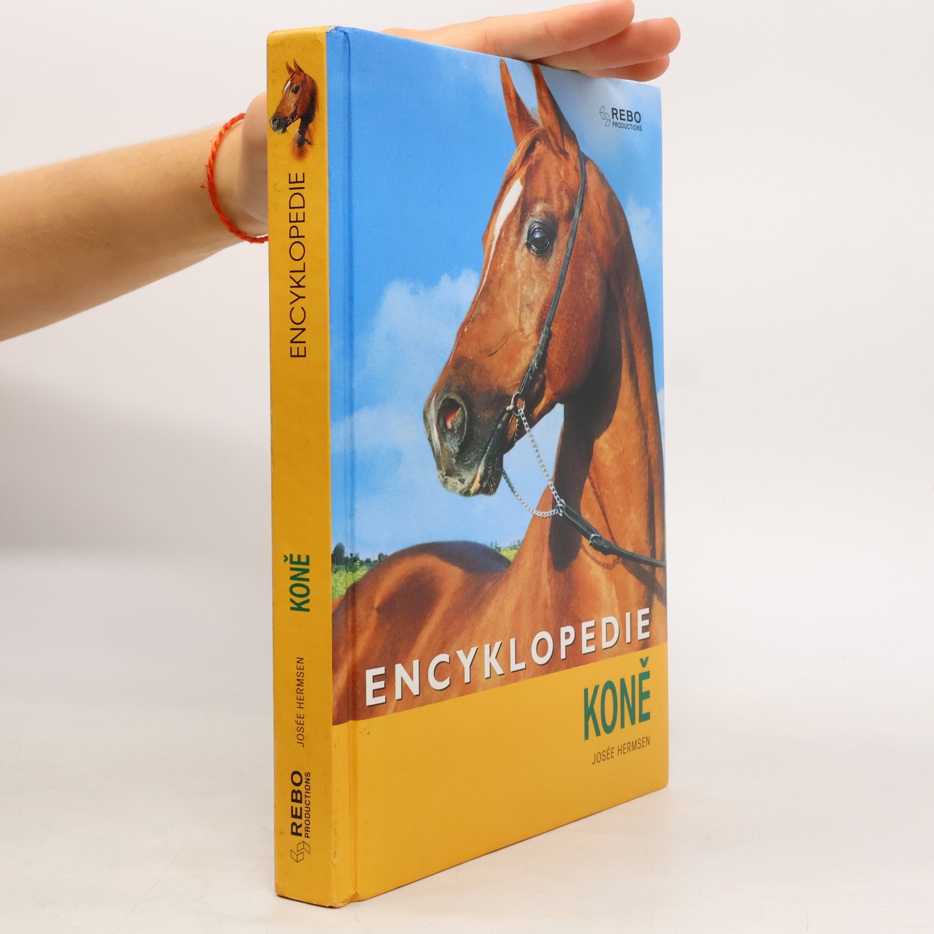 Kateřina Hlavová Koně : encyklopedie