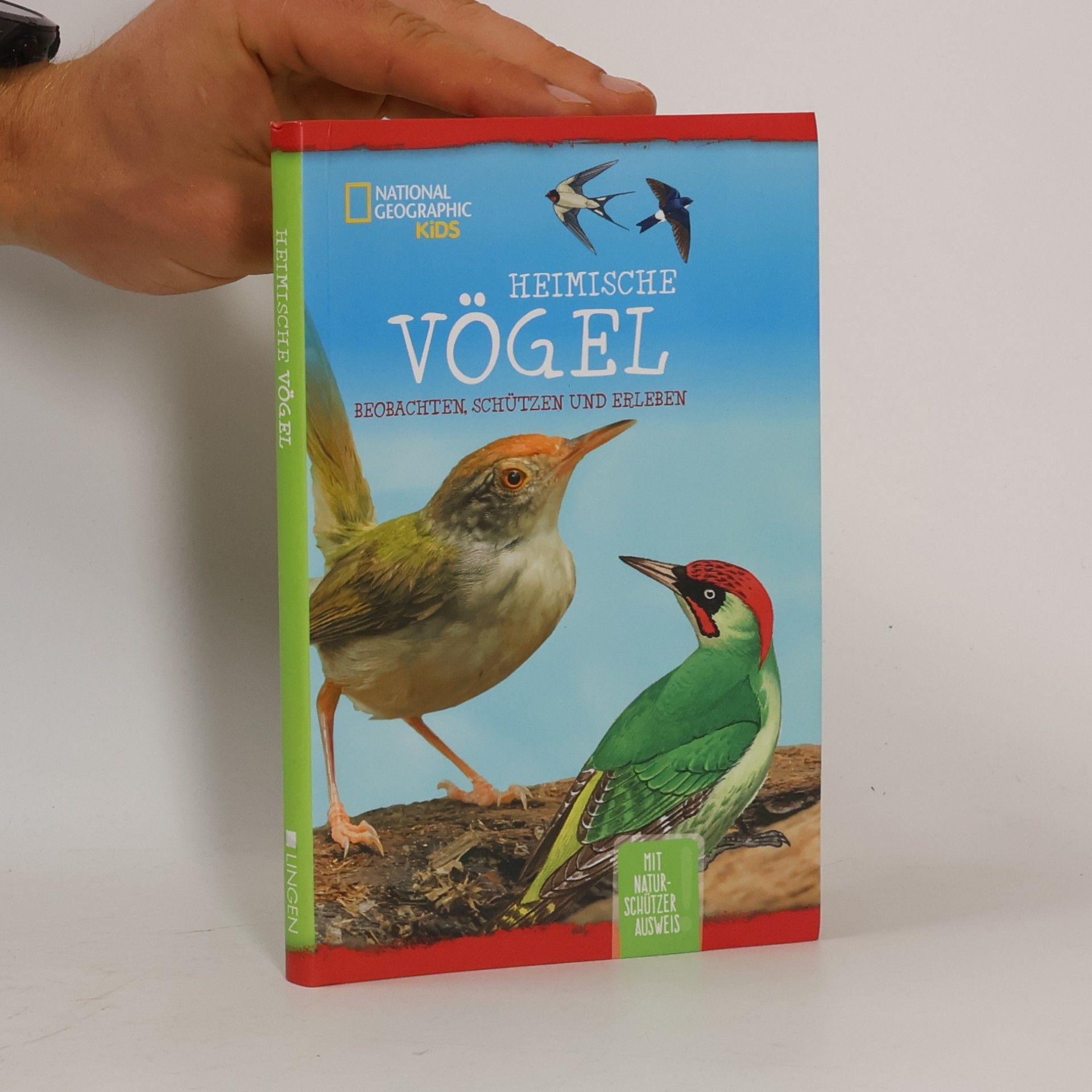 Holger Vornholt National Geographic Kids. Heimische Vögel