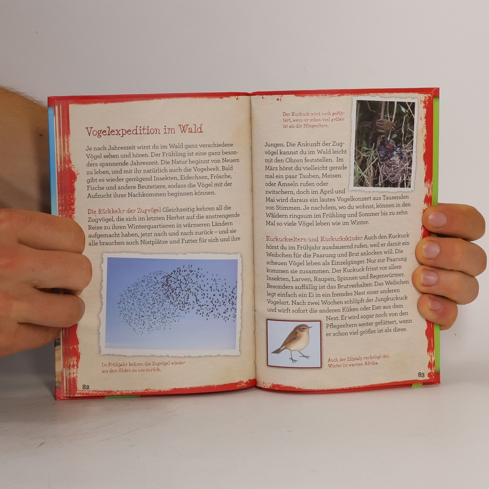 Holger Vornholt National Geographic Kids. Heimische Vögel