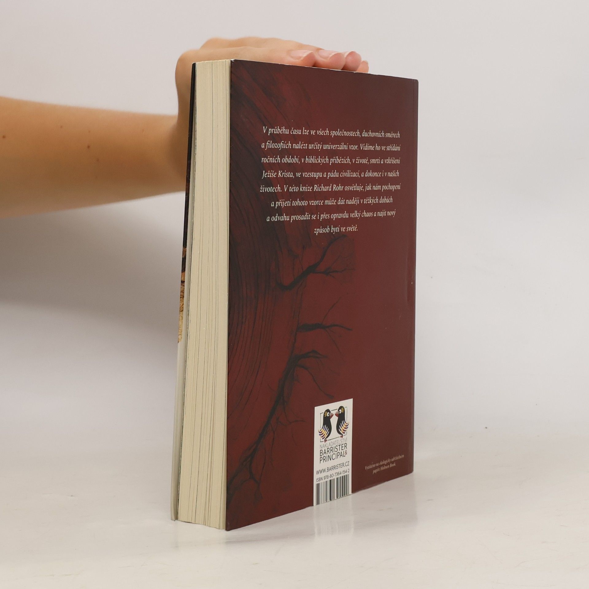 Richard Rohr Vzorec moudrosti. Řád - zmatek - obnovený řád