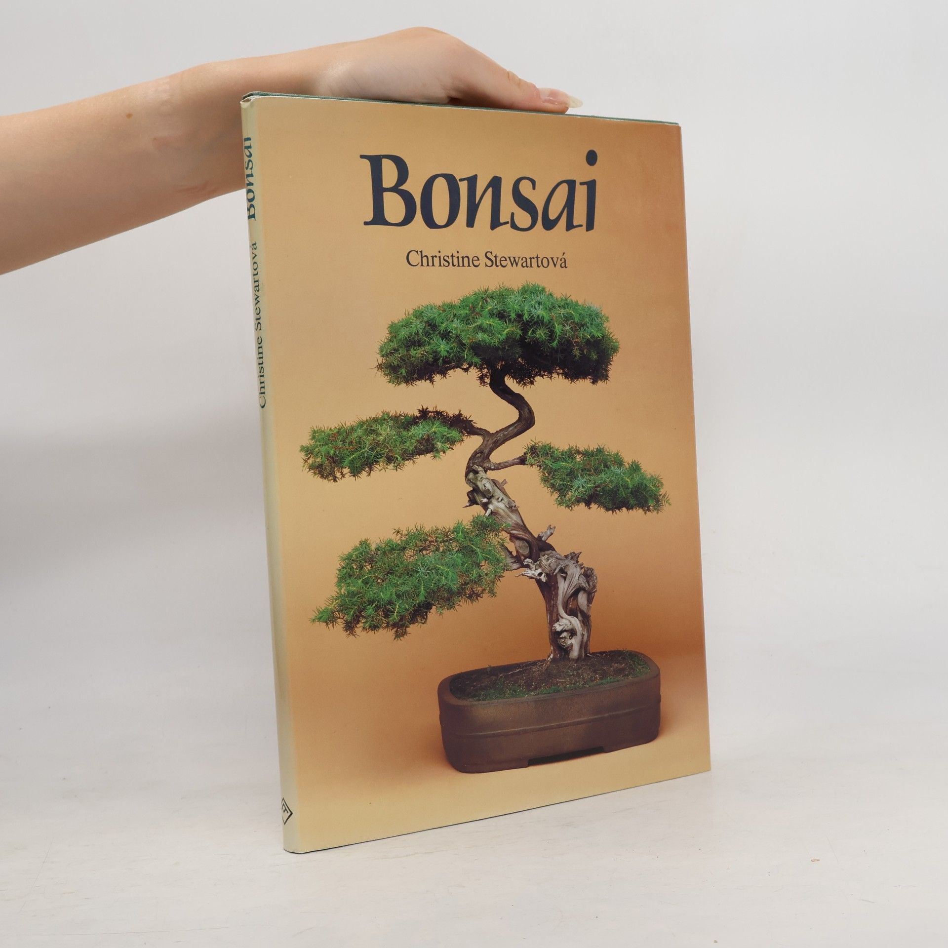 Christine Stewart Bonsai