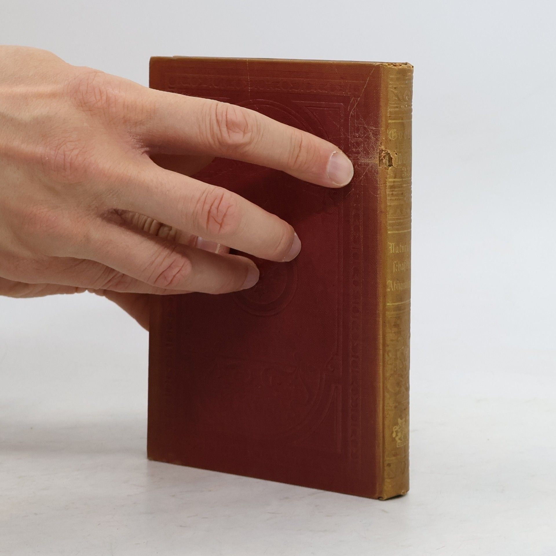 Johann Wolfgang von Goethe Goethes sämtliche Werke Band 33