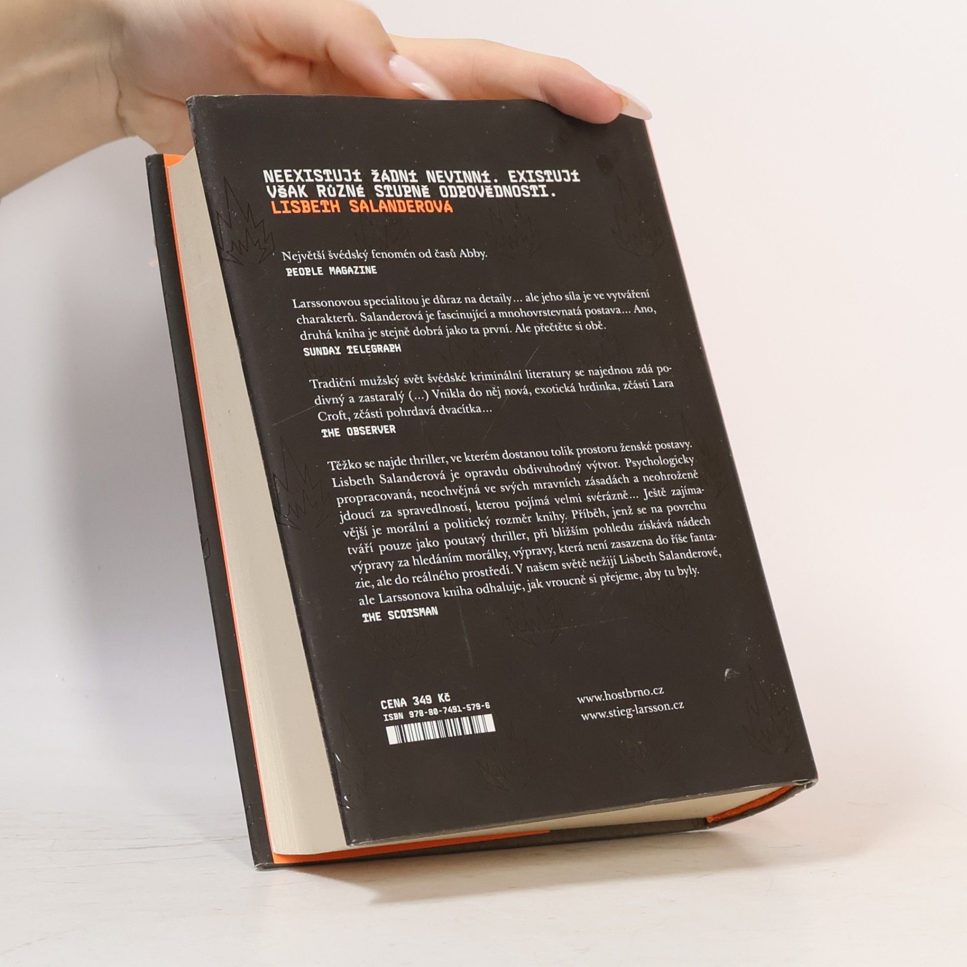 Stieg Larsson Dívka, která si hrála s ohněm