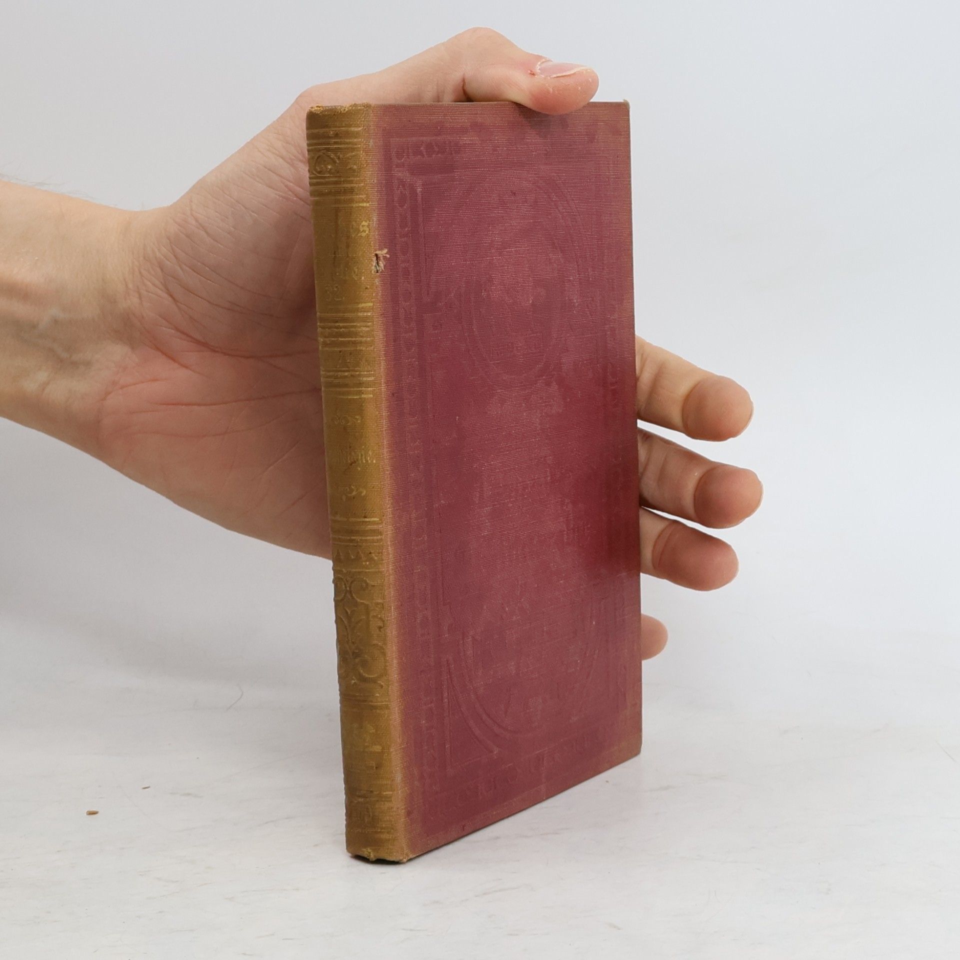 Johann Wolfgang von Goethe Goethes sämtliche Werke Band 31