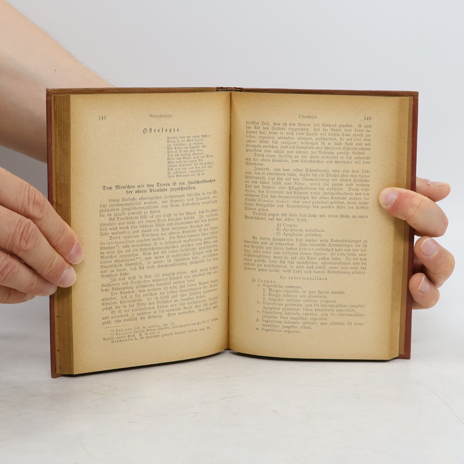 Johann Wolfgang von Goethe Goethes sämtliche Werke Band 31