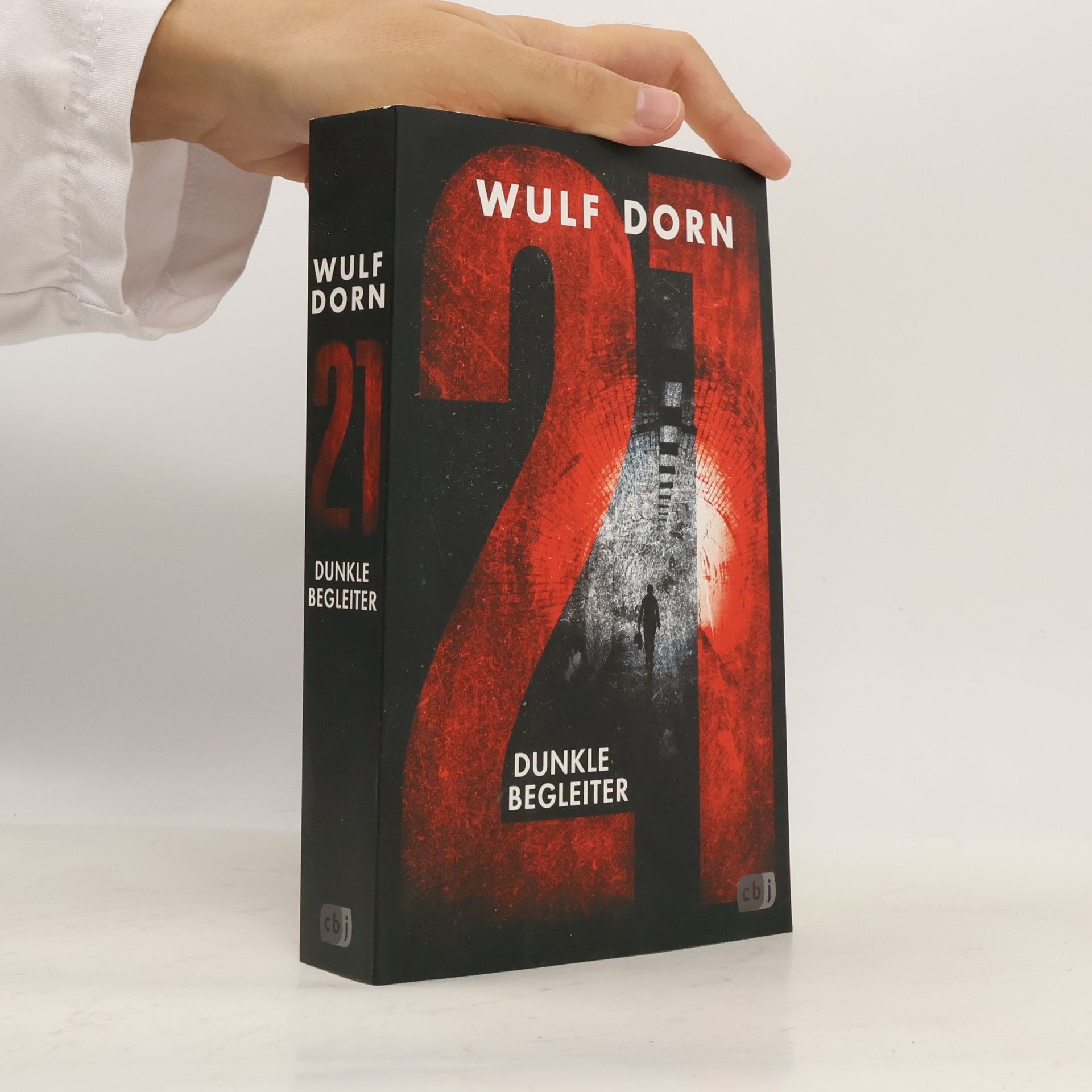 Wulf Dorn 21 - dunkle Begleiter