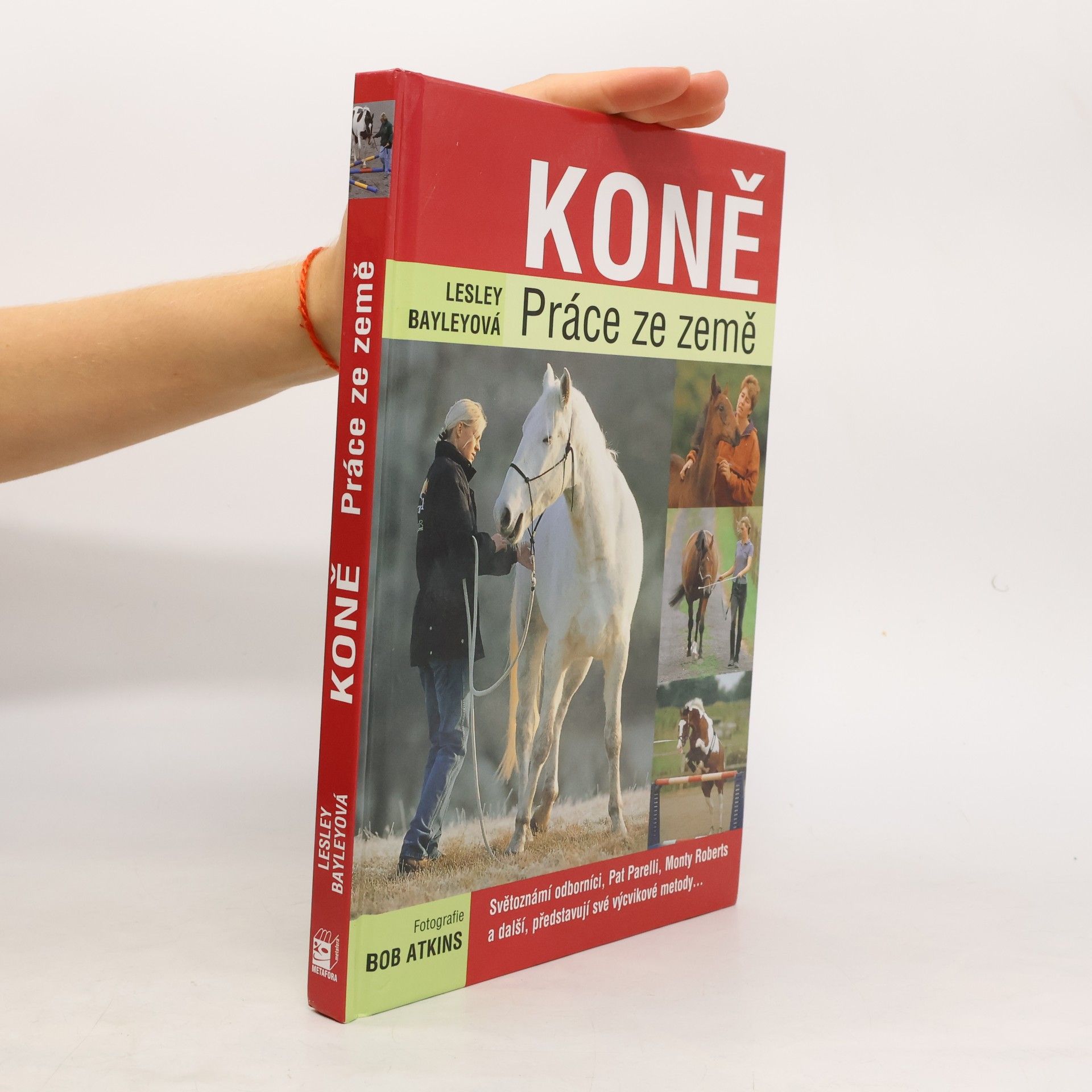 Koně. Práce ze země