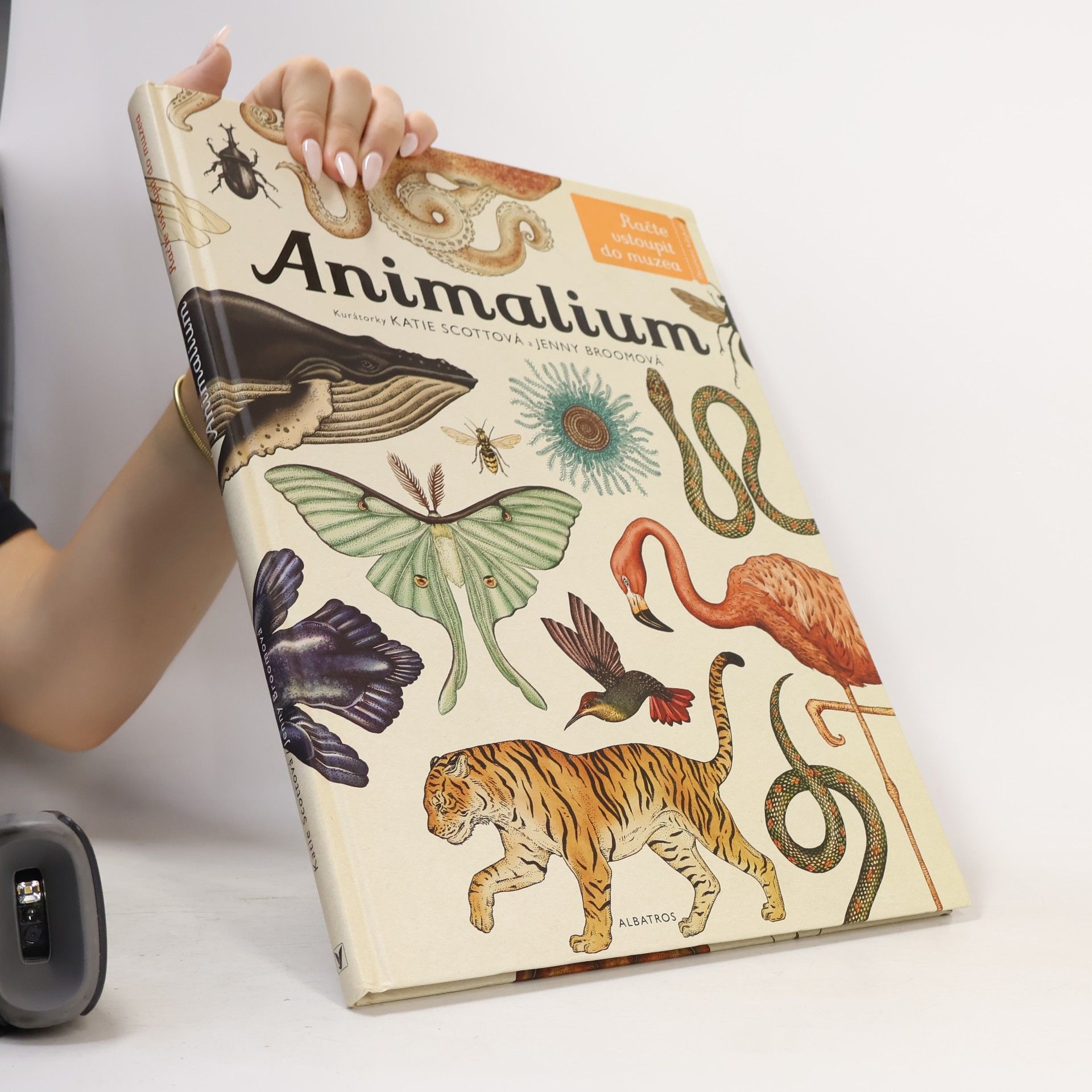 Jenny Broom Animalium
