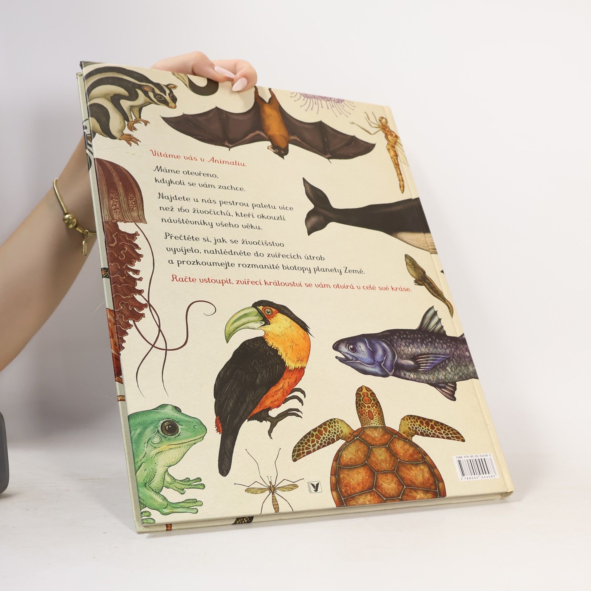 Katie Scott Animalium