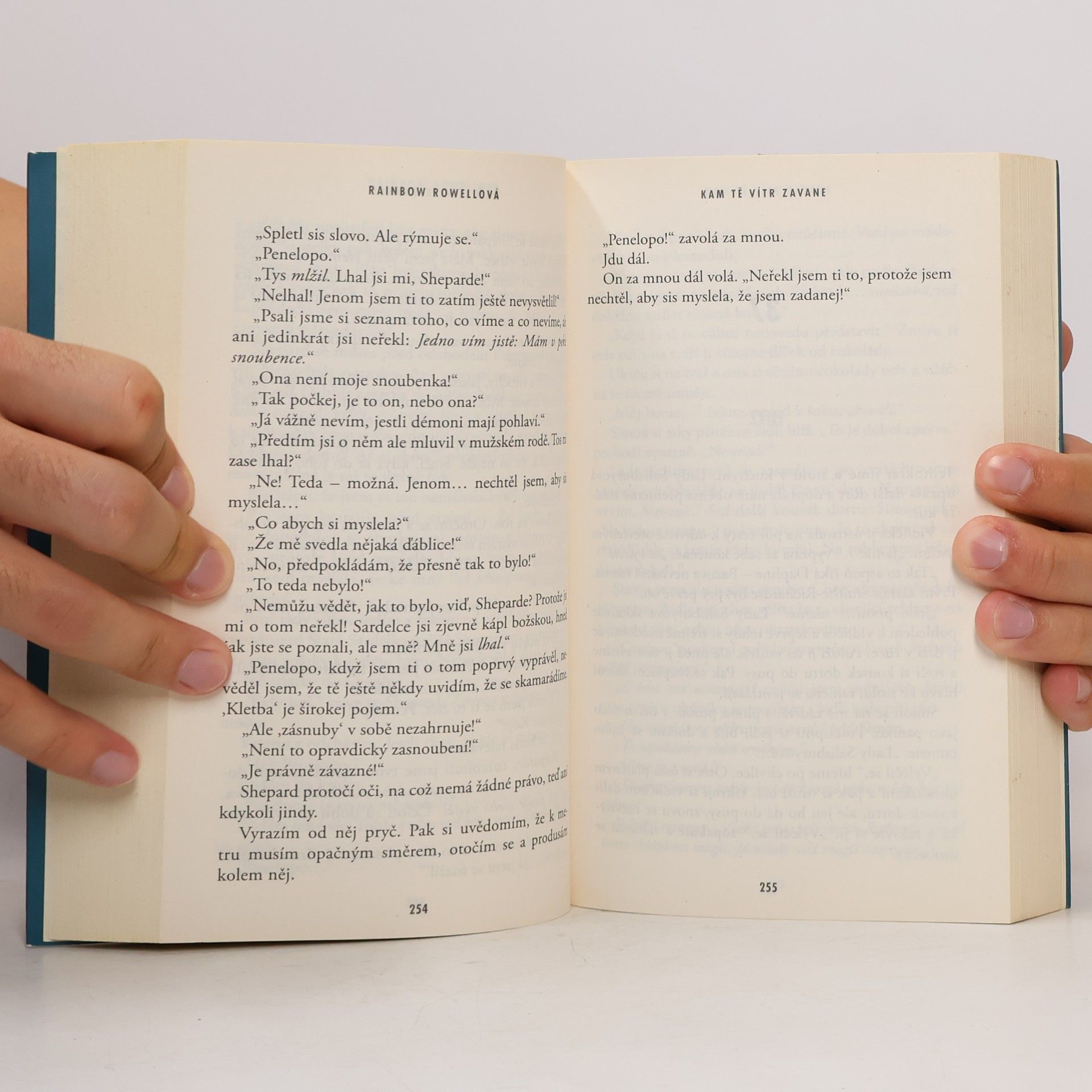 Rainbow Rowell Kam tě vítr zavane